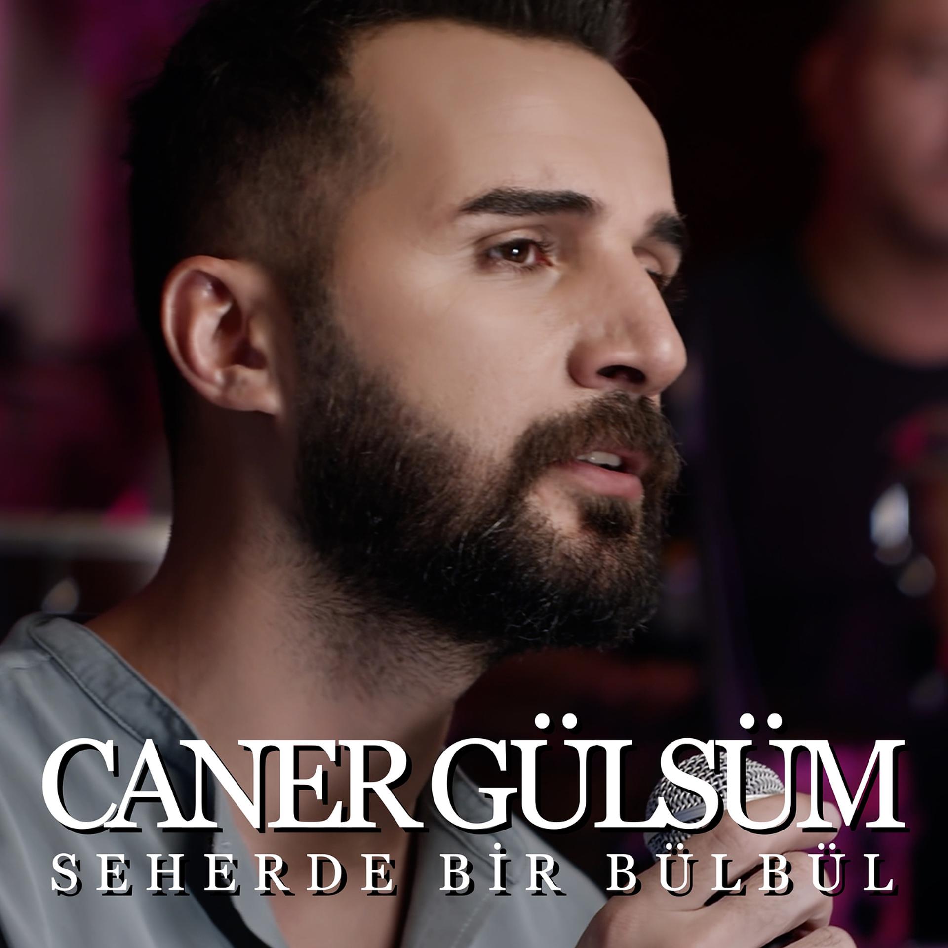 Постер альбома Seherde Bir Bülbül