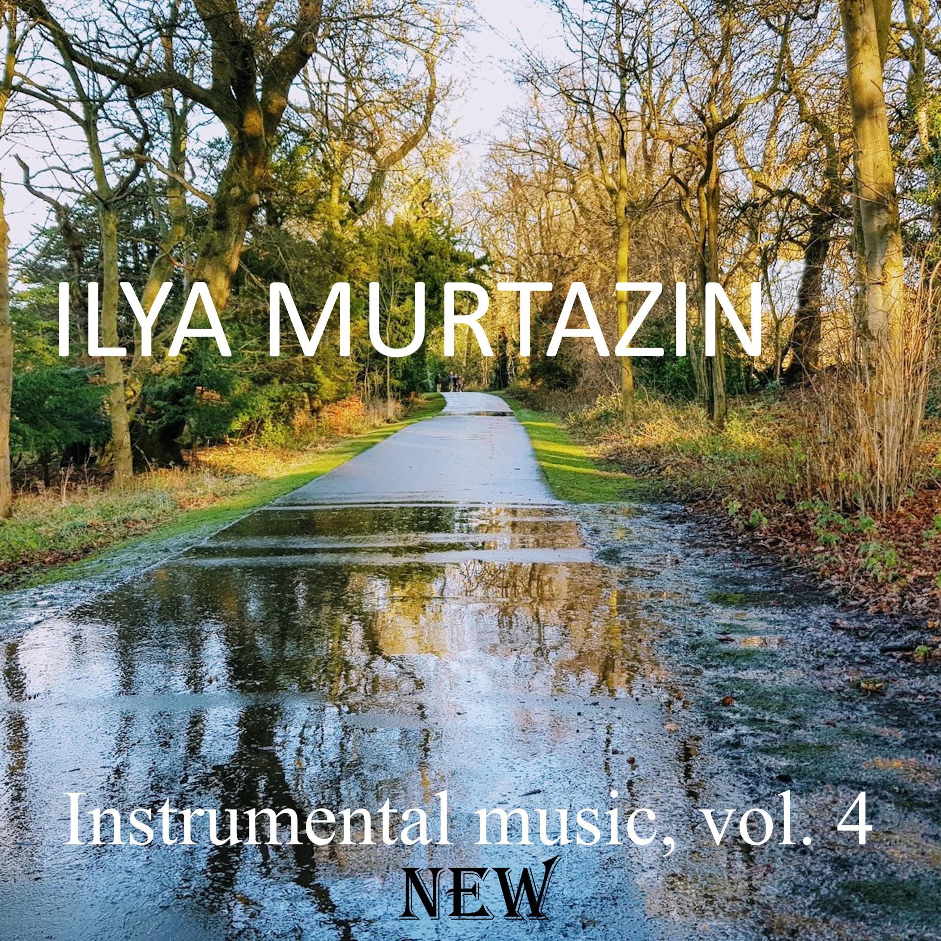 Постер альбома Instrumental Music, Vol. 4 New