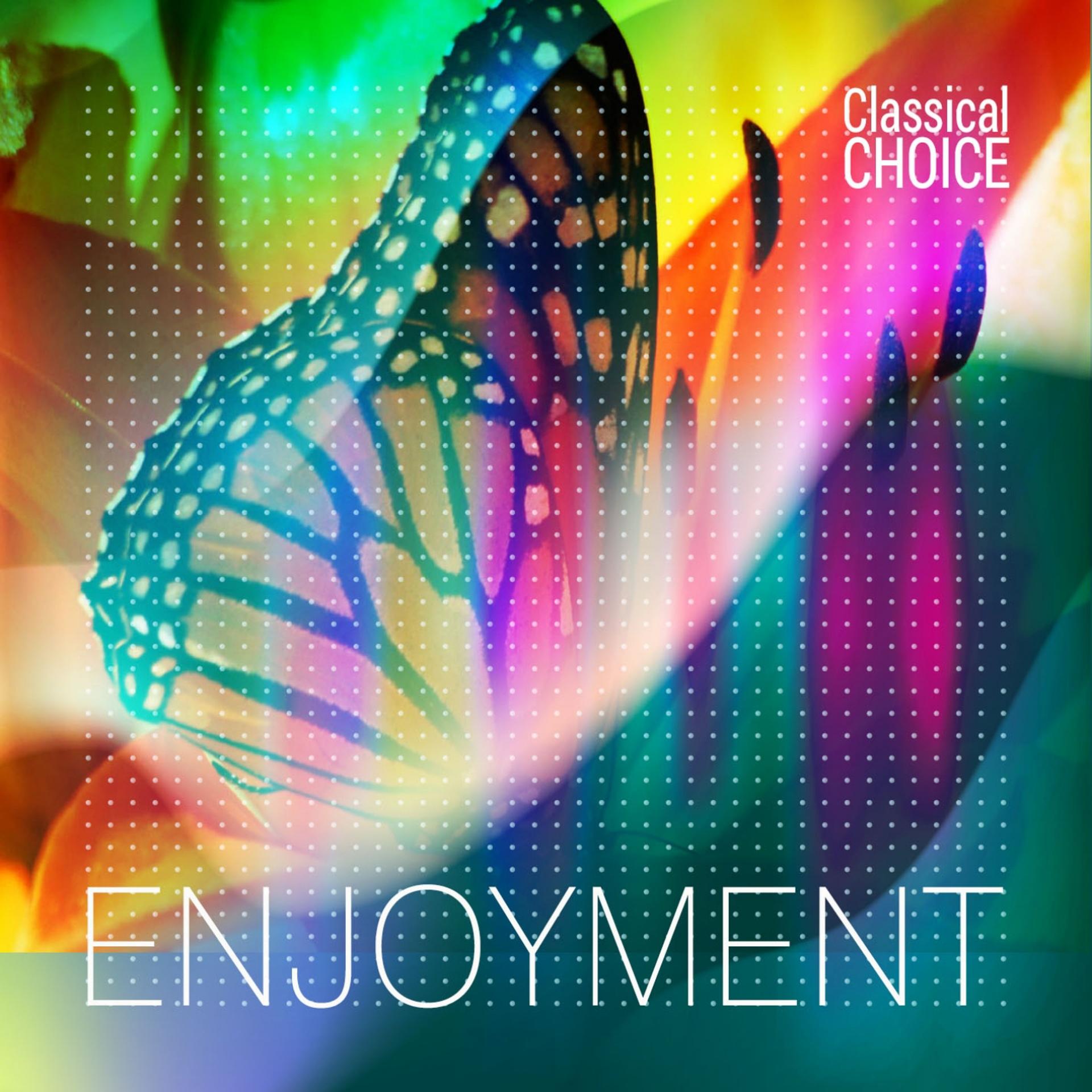 Постер альбома Classical Choice: Enjoyment