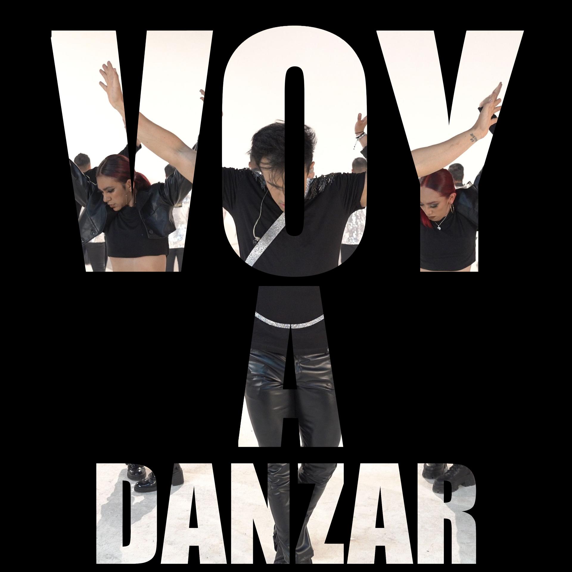 Постер альбома Voy A Danzar