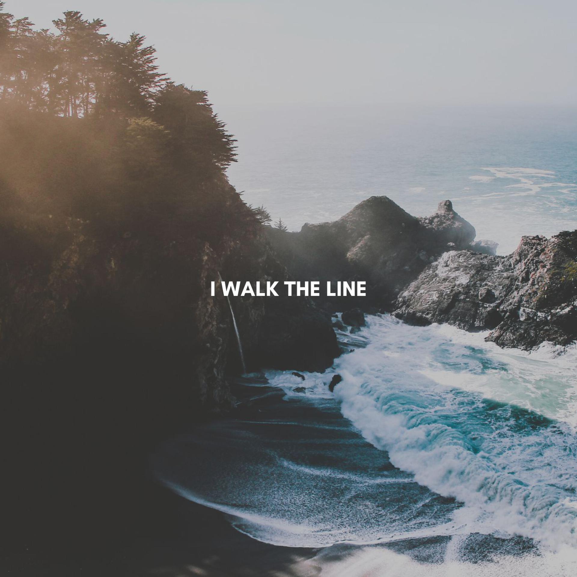 Постер альбома I Walk The Line