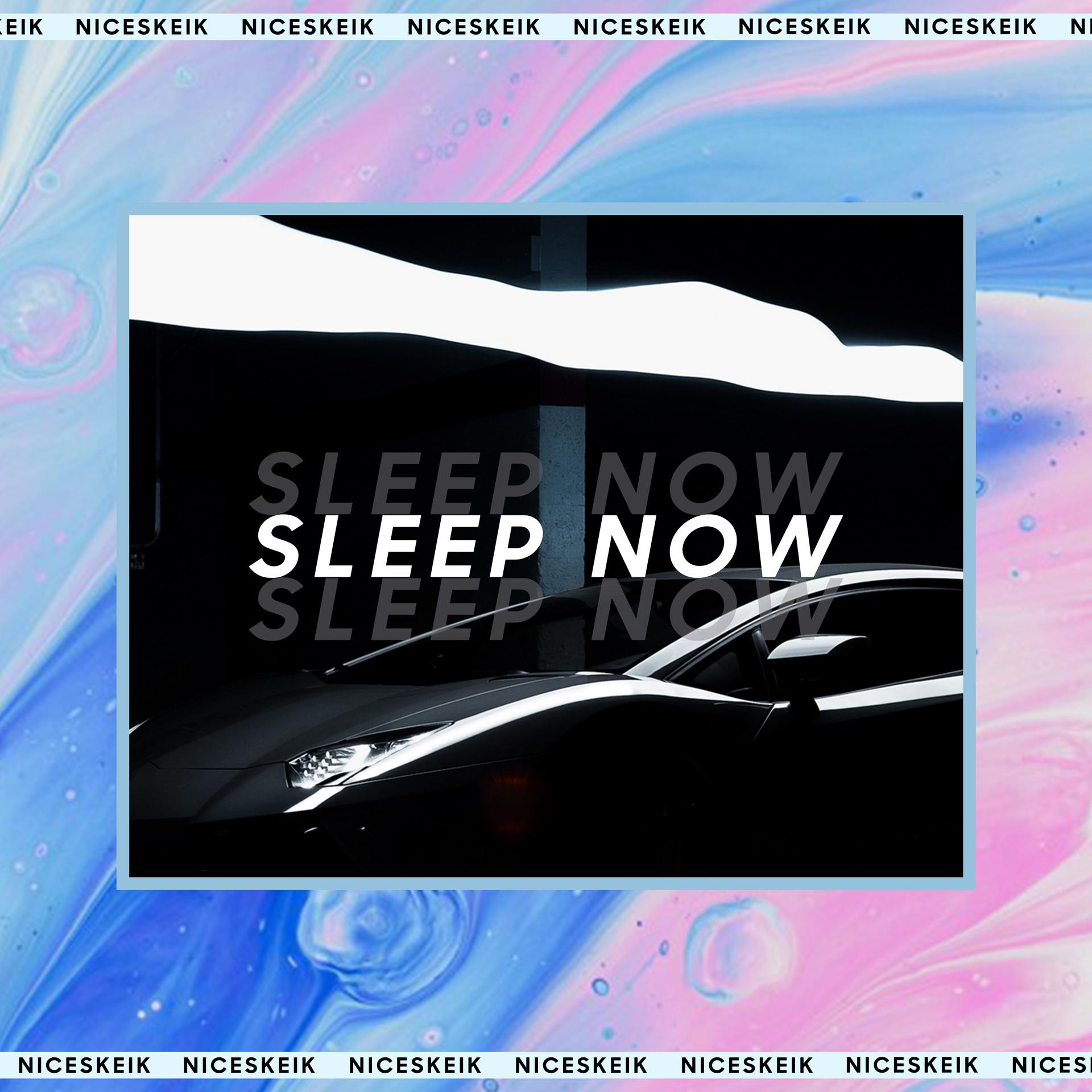 Постер альбома Sleep Now