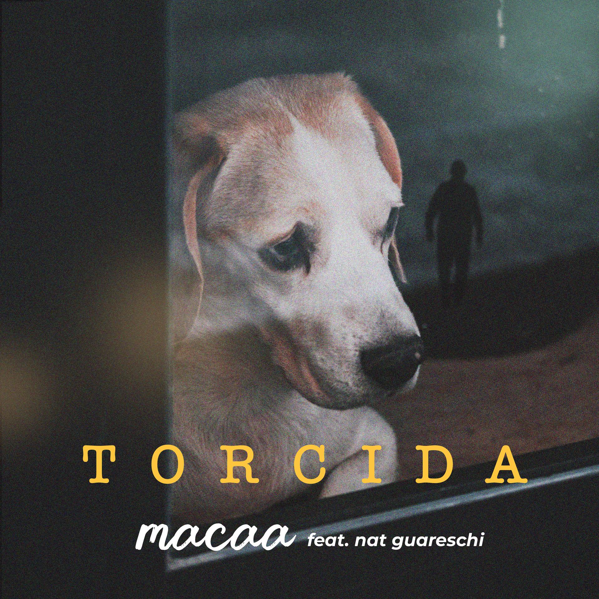 Постер альбома Torcida