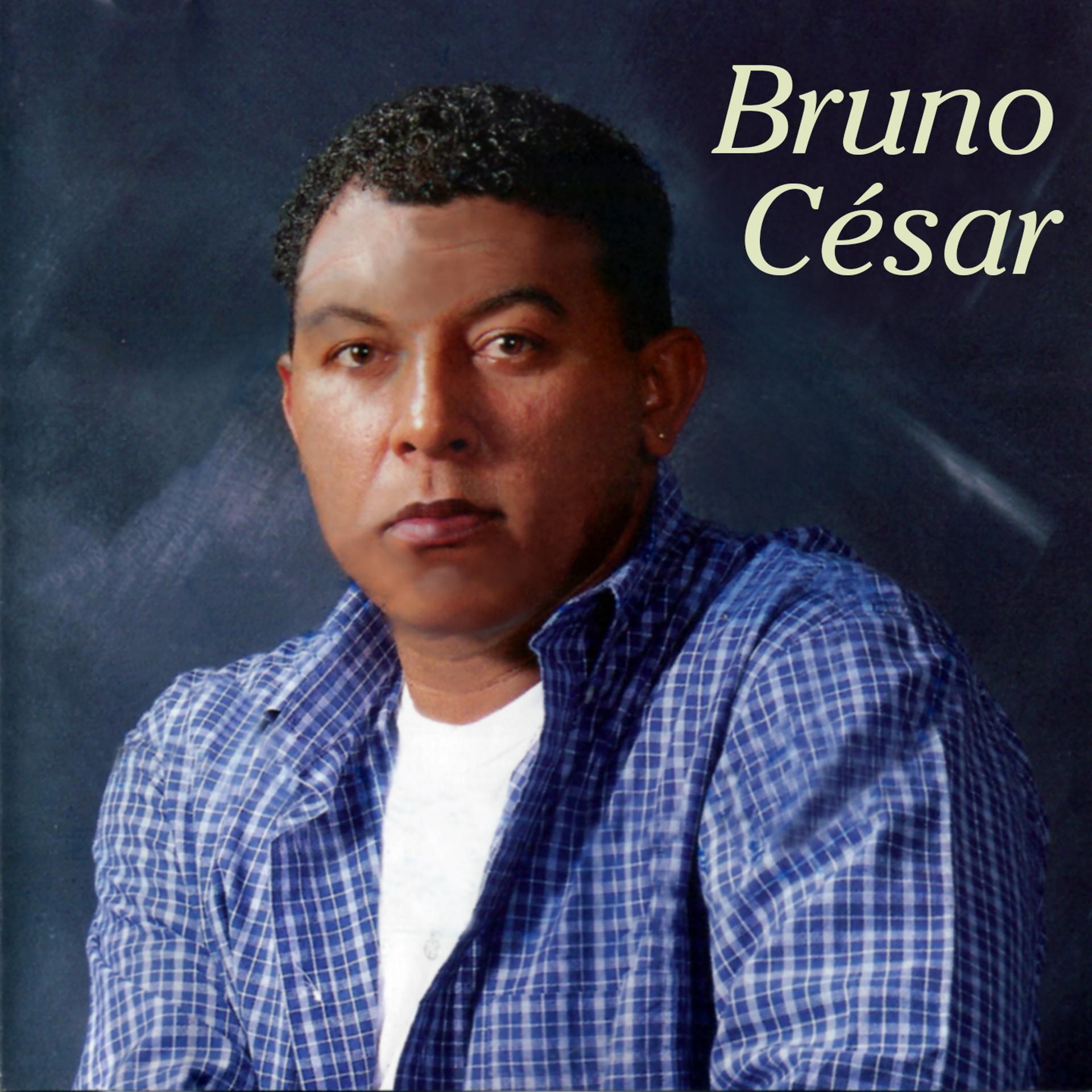 Постер альбома Bruno César