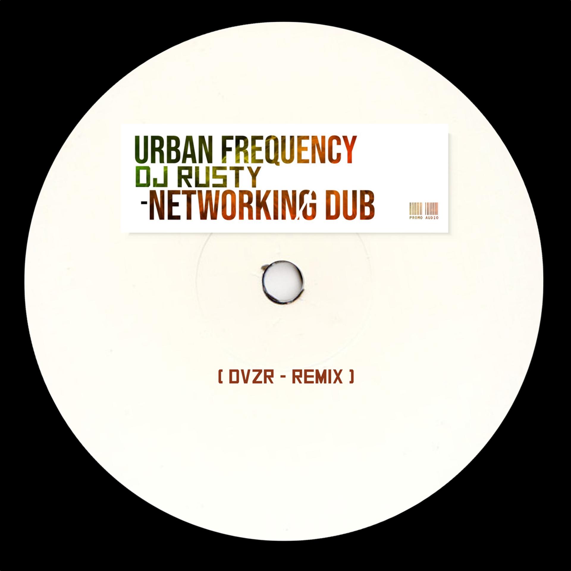 Постер альбома Networking Dub (DVZR remix)