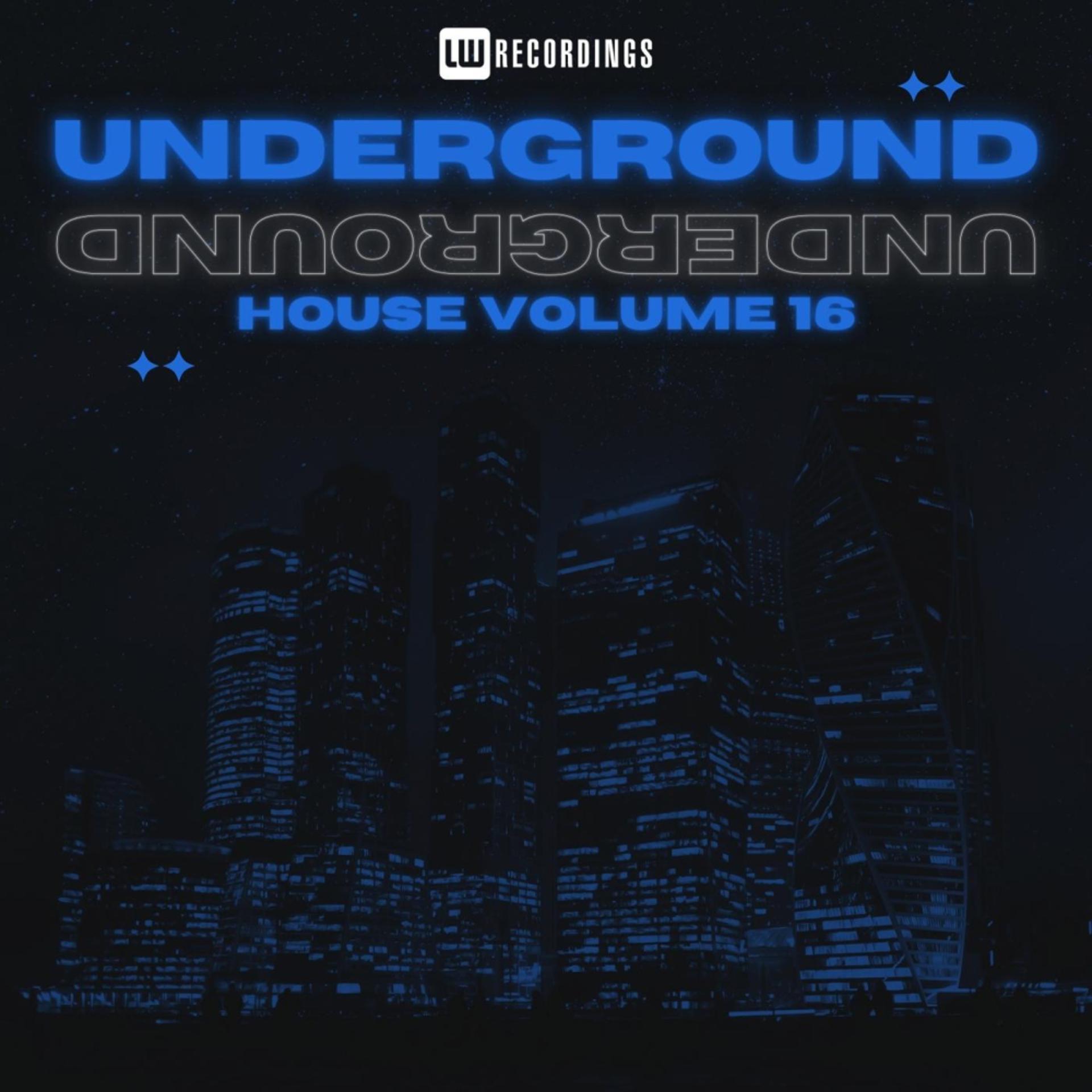 Постер альбома Underground House, Vol. 16