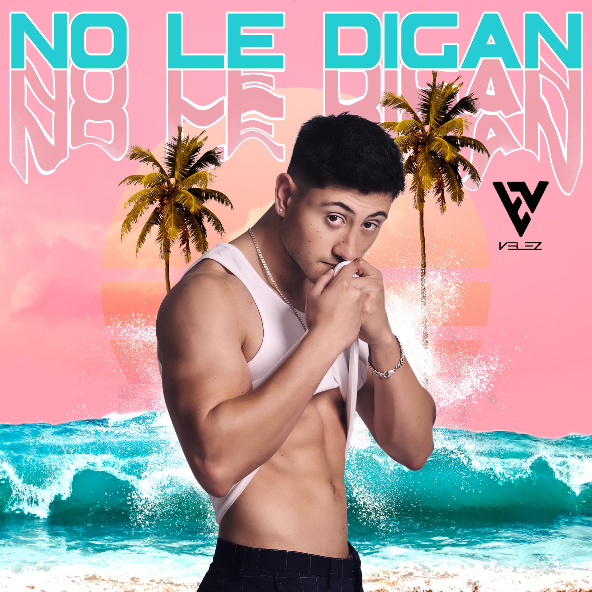 Постер альбома No Le Digan