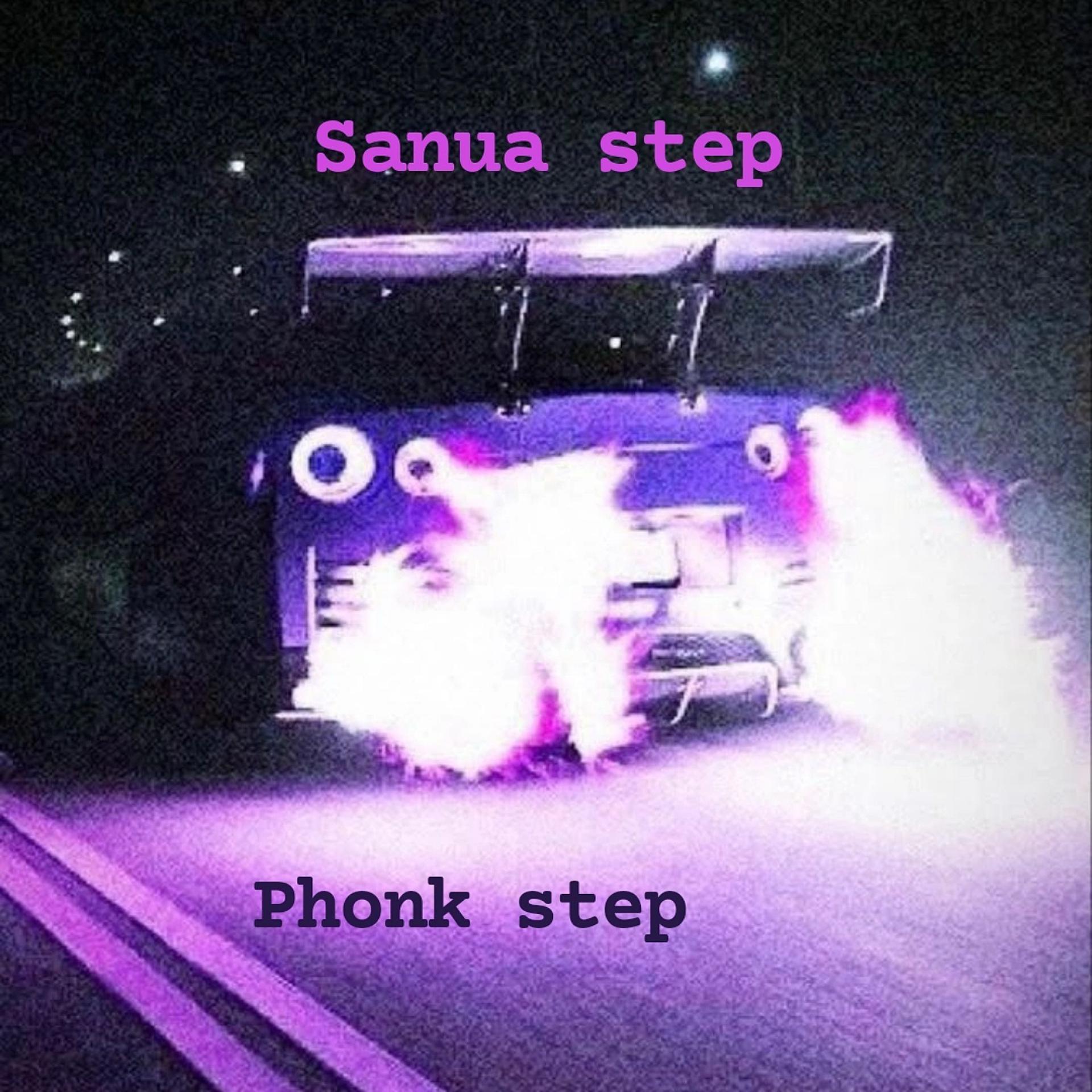 Постер альбома Phonk Step
