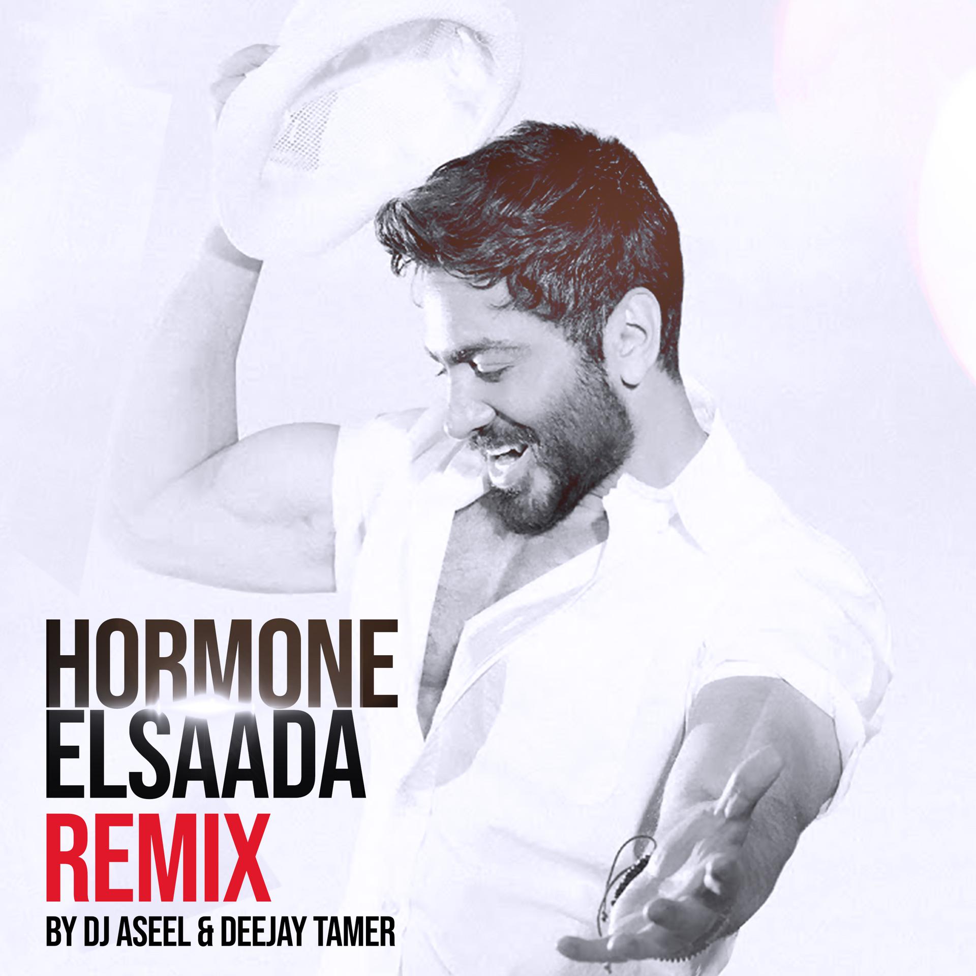 Постер альбома Hormone El Saada