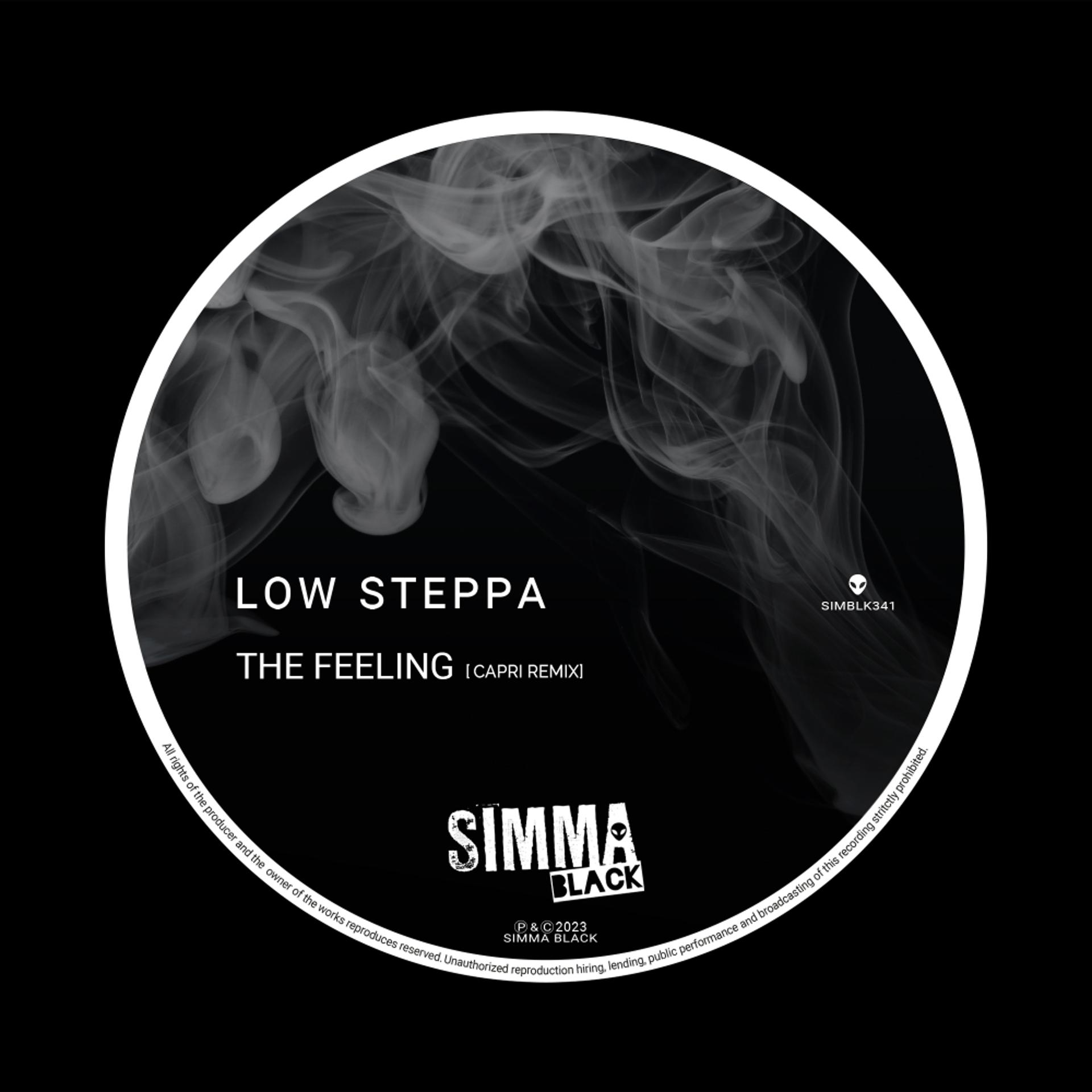 Постер альбома The Feeling (Capri Remix)