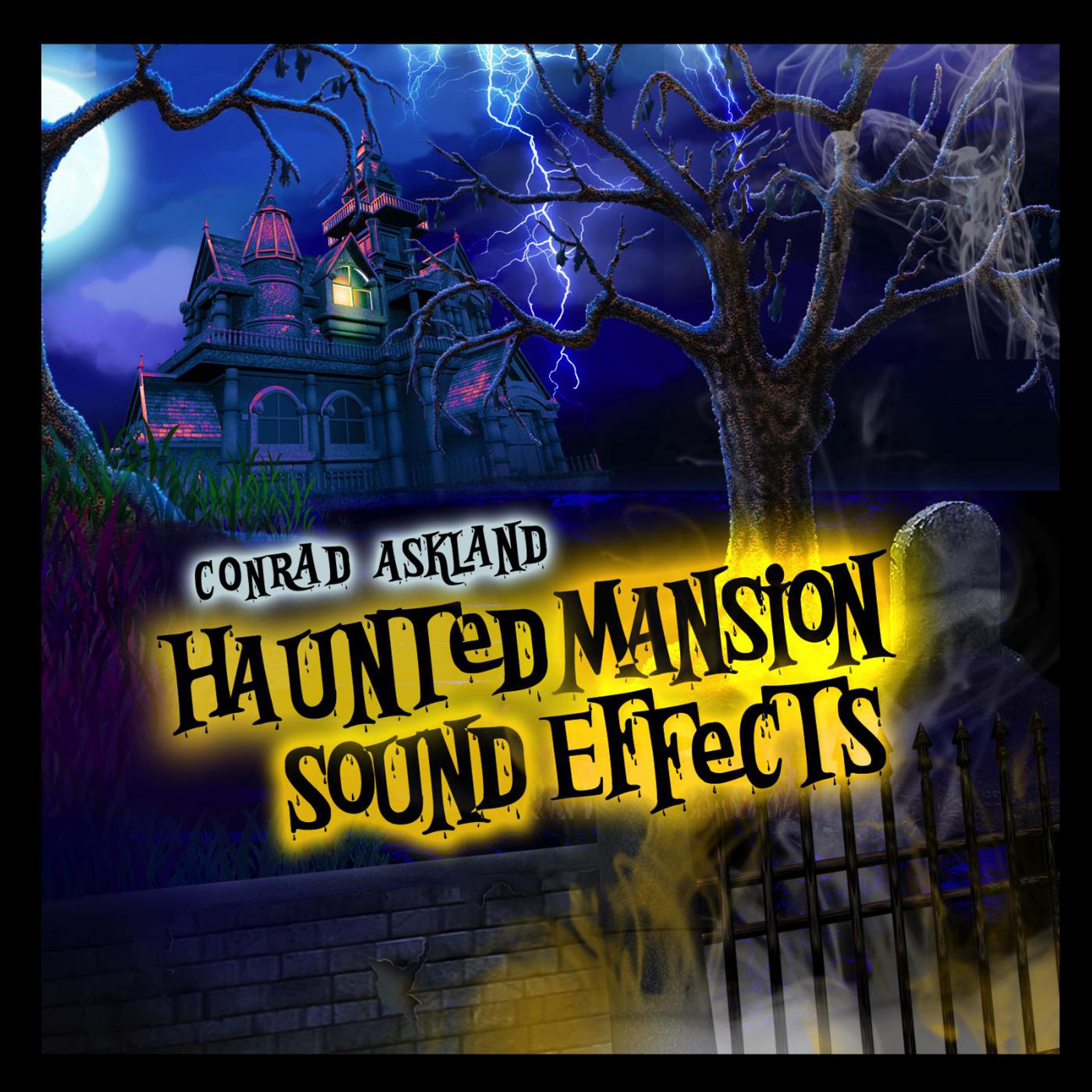 Постер альбома Haunted Mansion Sound Effects