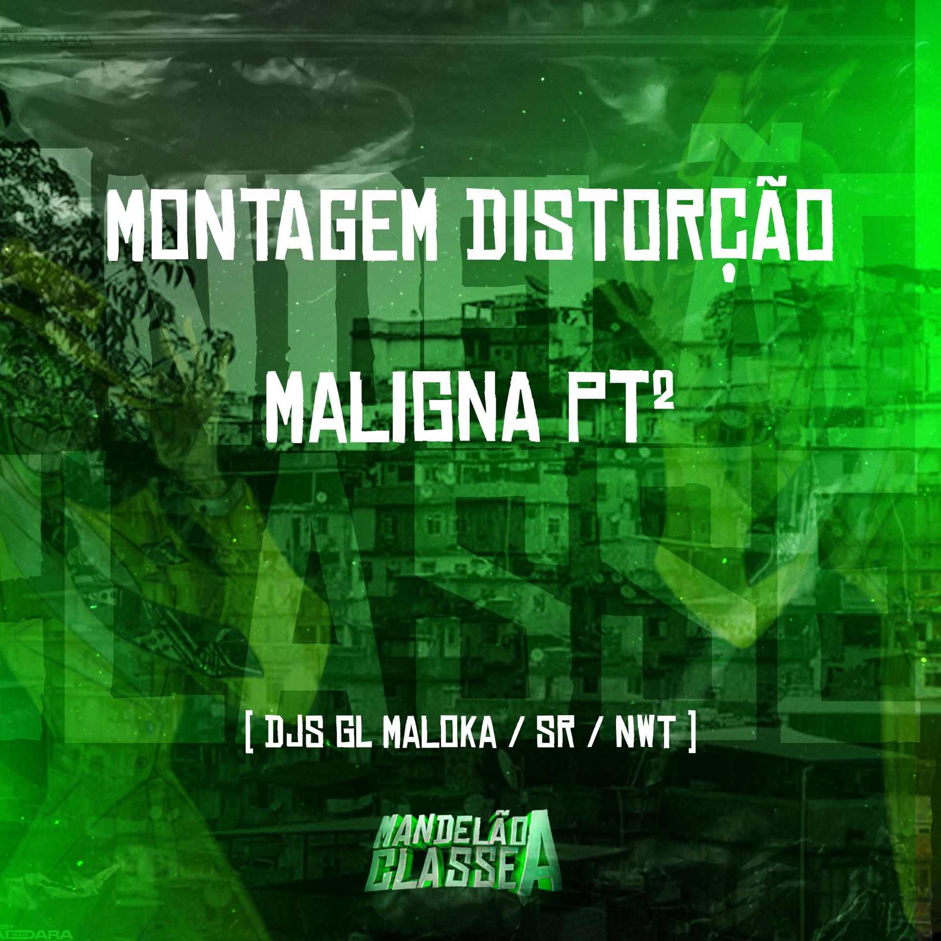 Постер альбома Montagem Distorção Maligna, Pt. 2