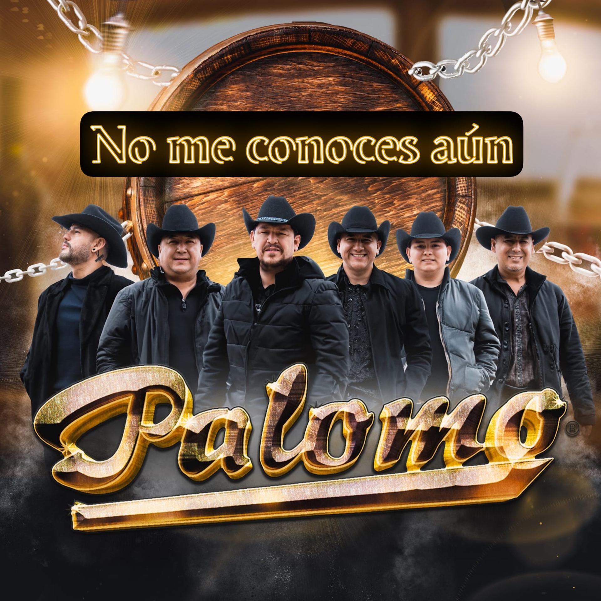 Постер альбома No Me Conoces Aún