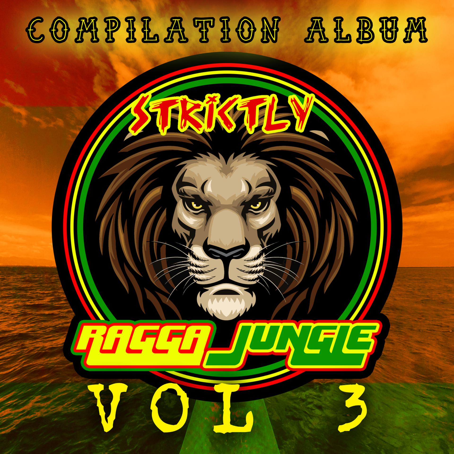 Постер альбома Strictly Ragga Jungle Compilation Album Vol 3