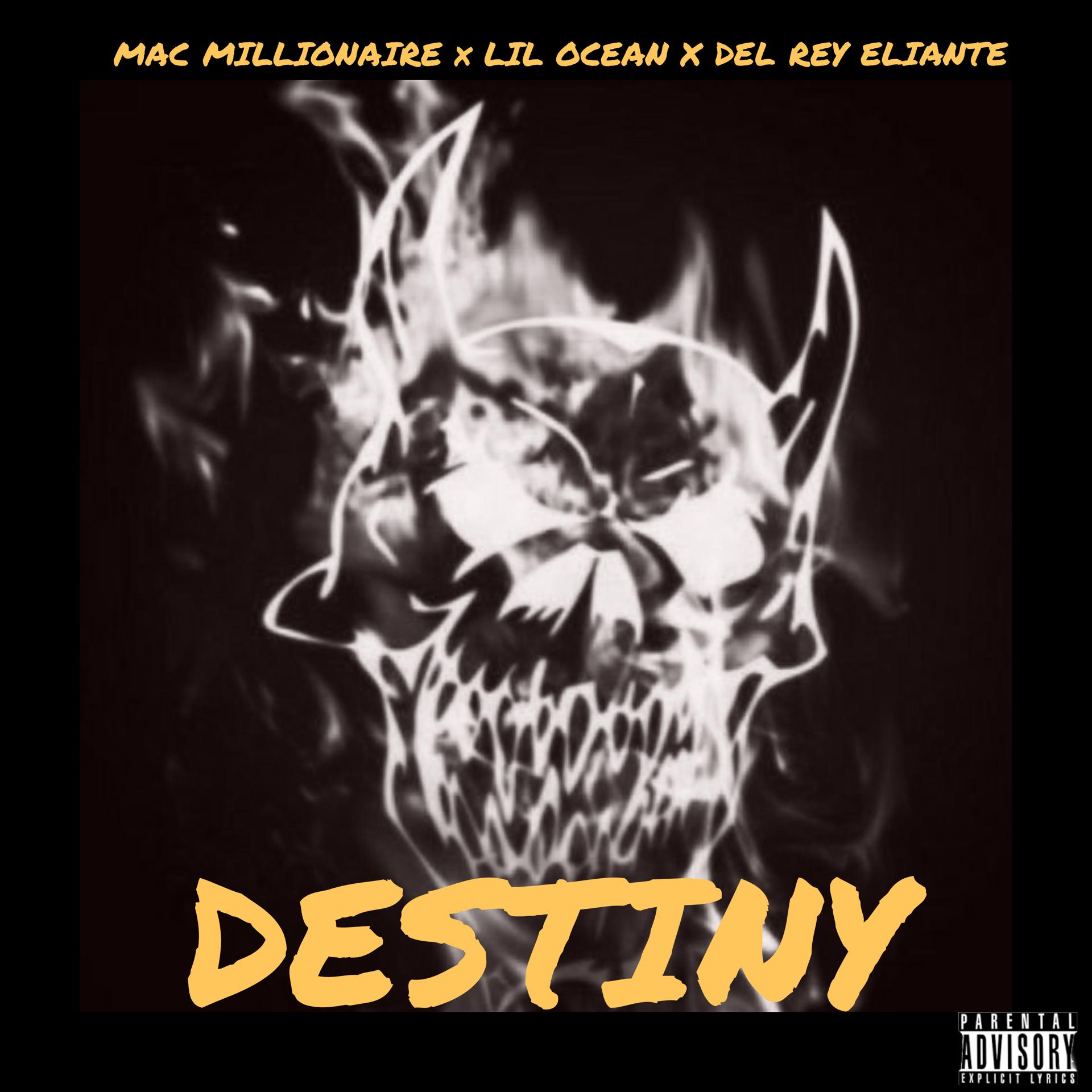 Постер альбома Destiny (feat. Lil Ocean & Del Rey Eliante)