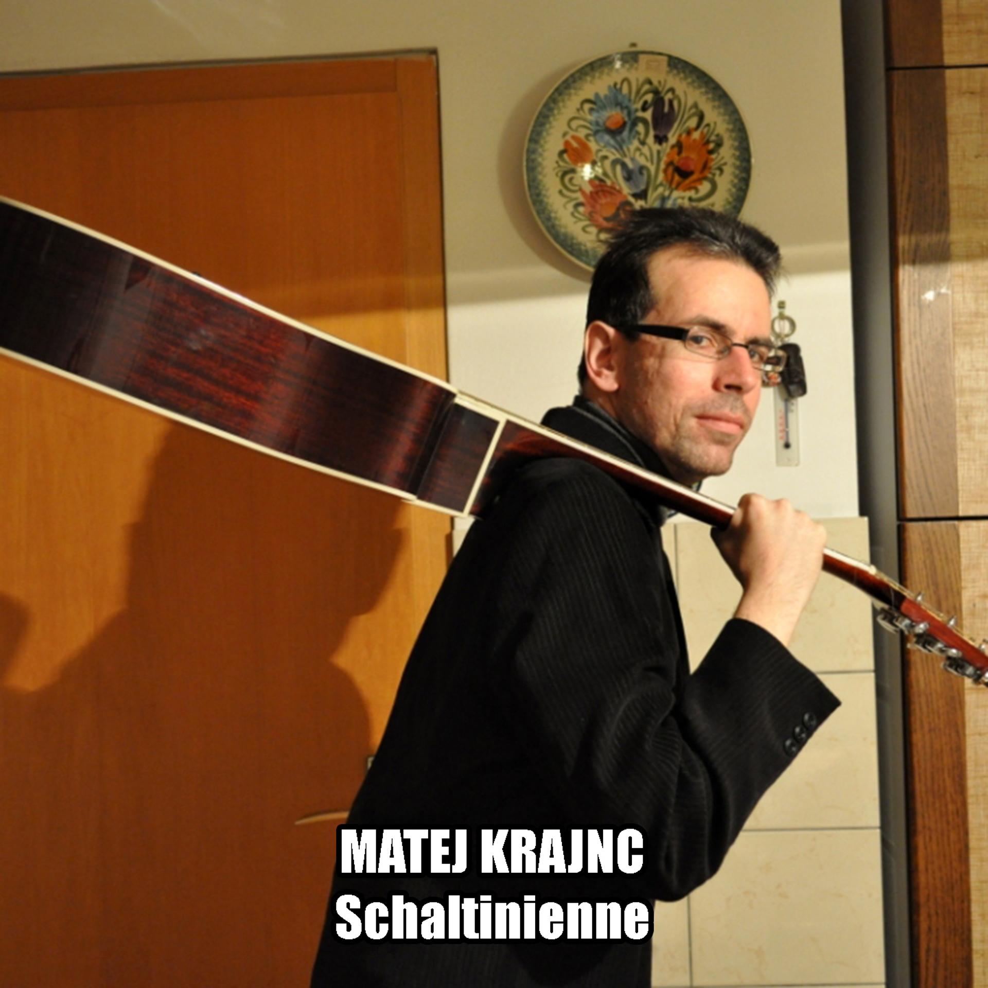 Постер альбома Schaltinienne