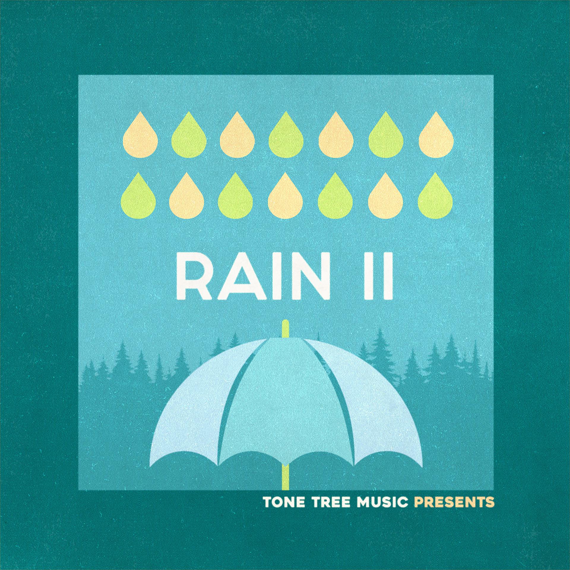 Постер альбома Tone Tree Music Presents: Rain II