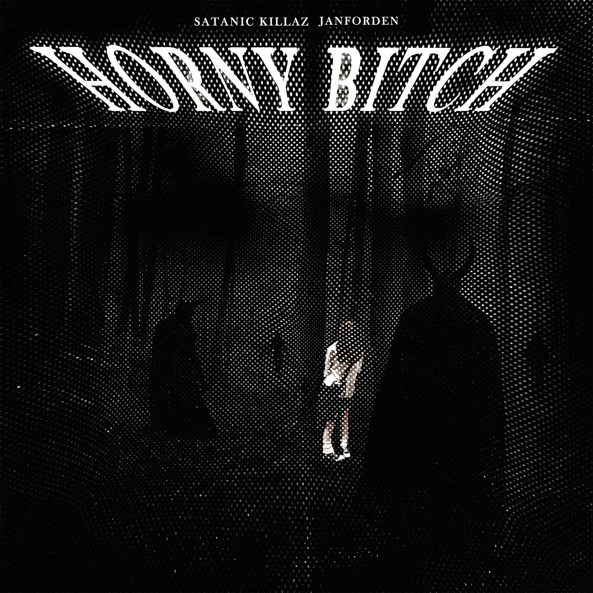 Постер альбома HORNY BITCH