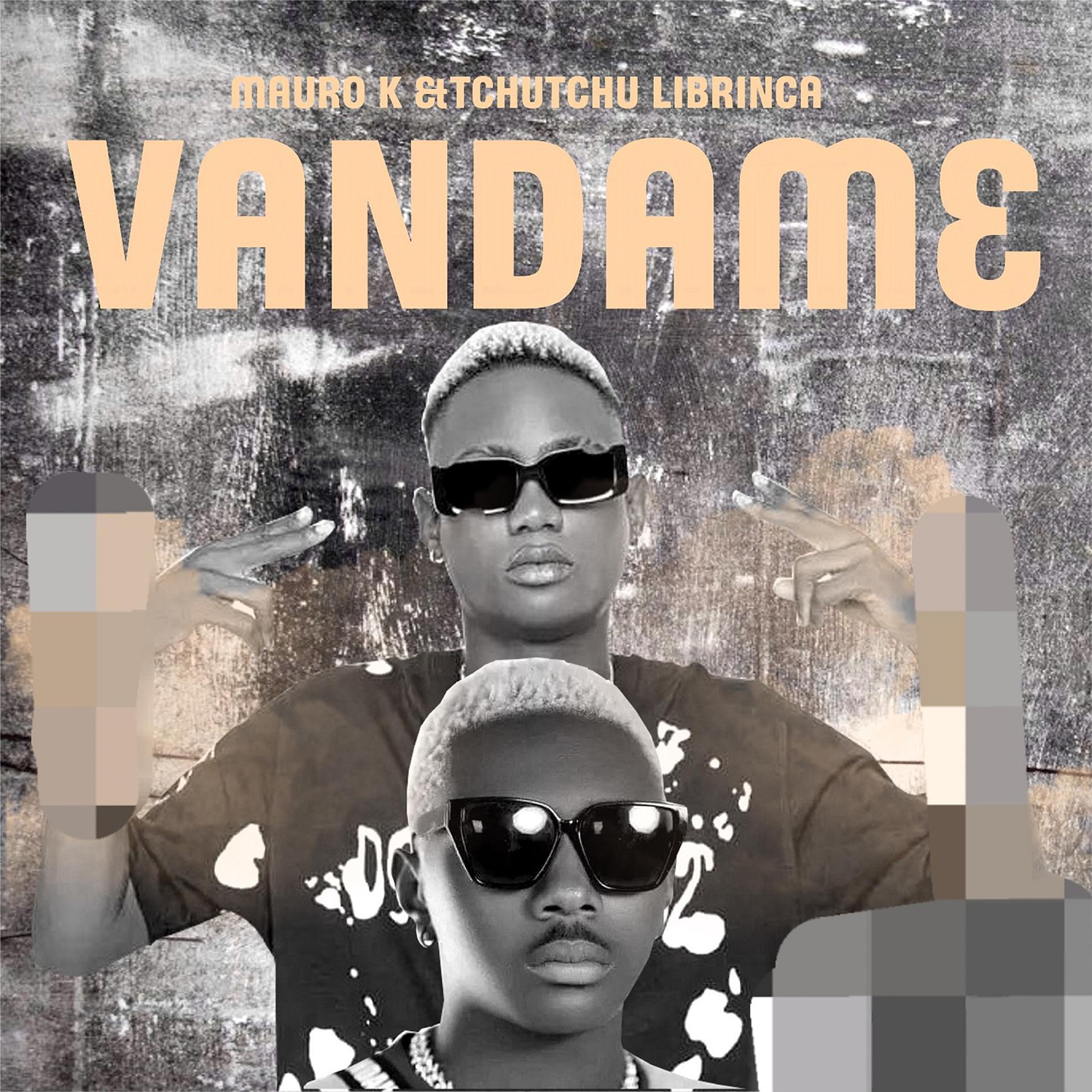 Постер альбома Vandame