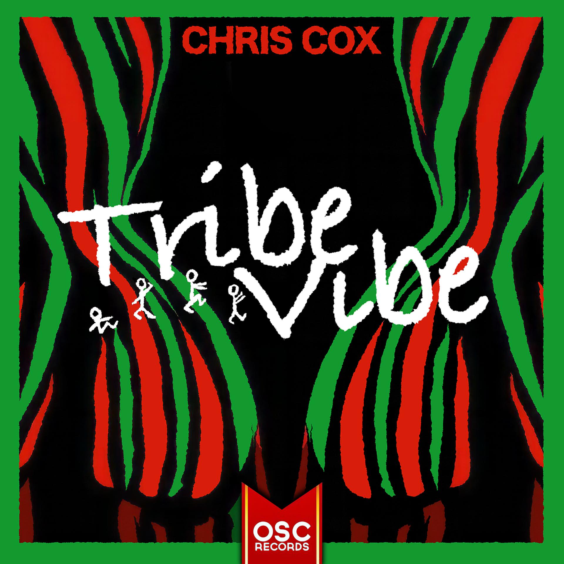 Постер альбома Tribe Vibe