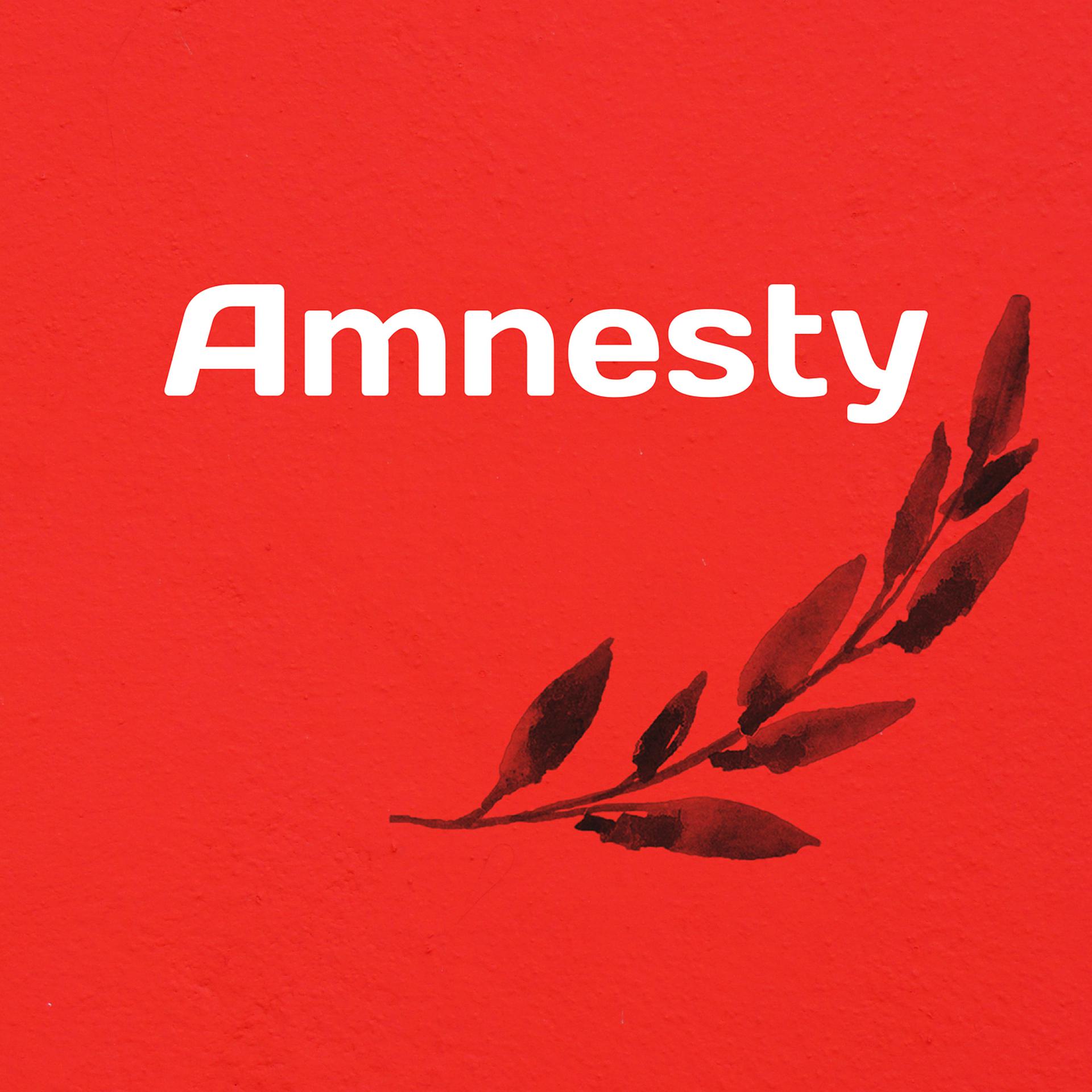 Постер альбома Amnesty