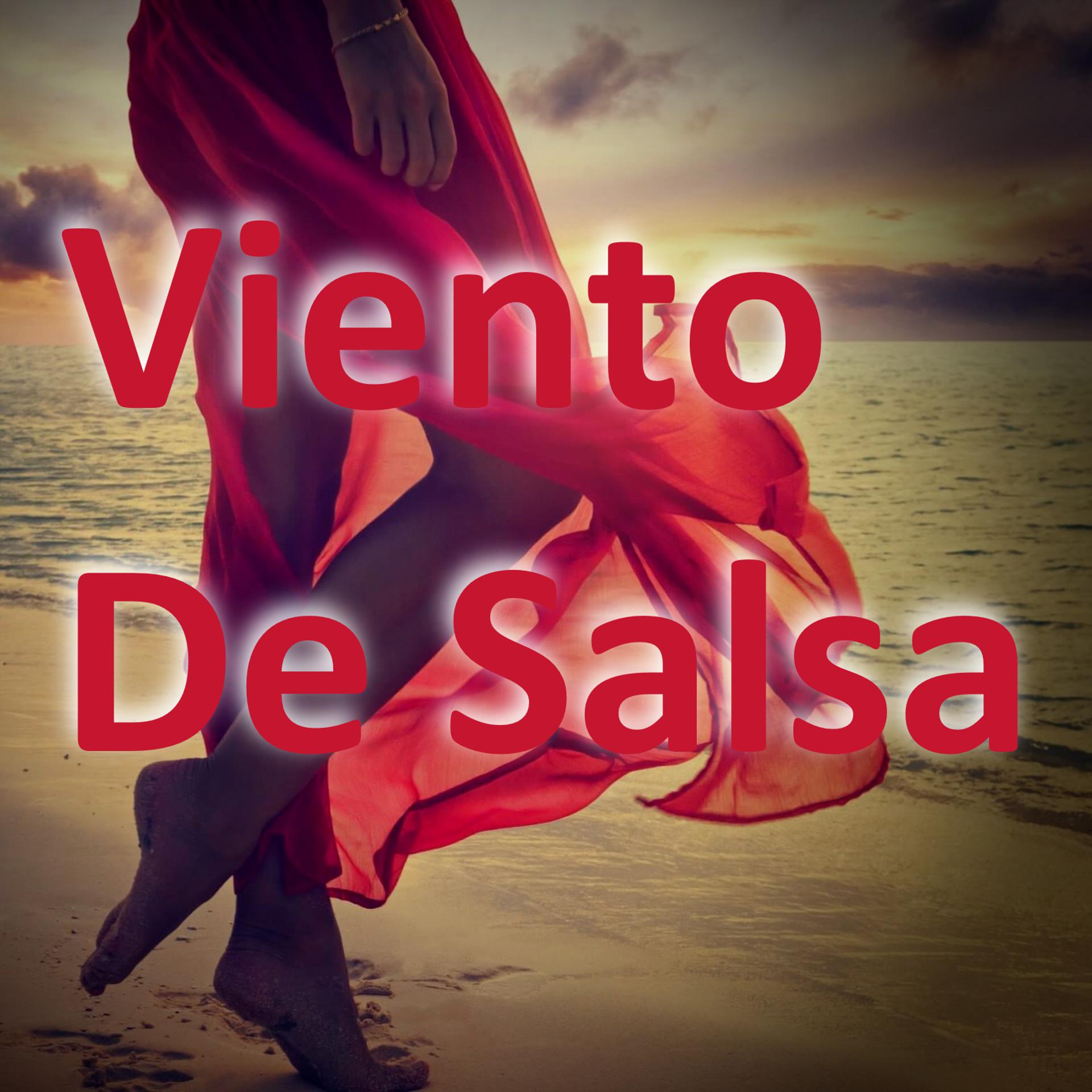 Постер альбома Viento De Salsa