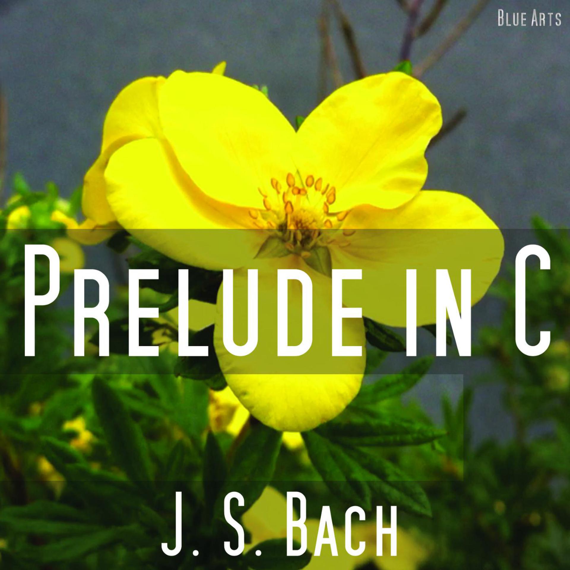 Постер альбома Prelude C Major ( Bach )