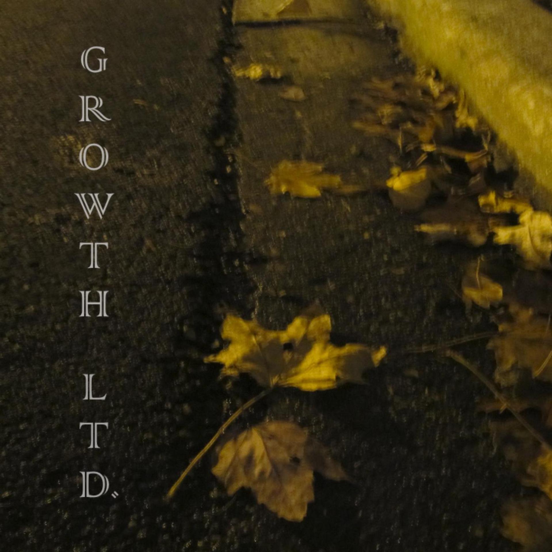 Постер альбома Growth Ltd.