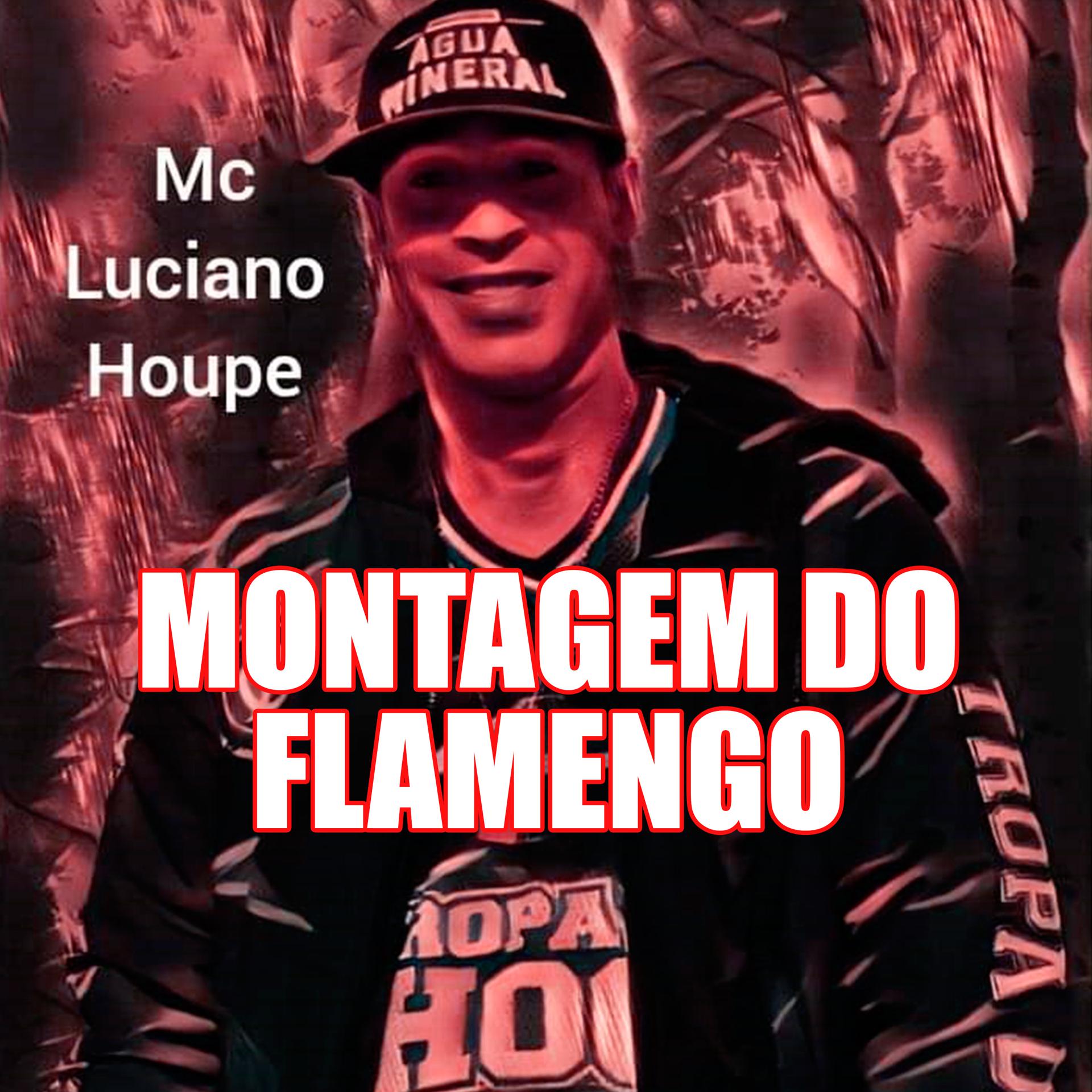 Постер альбома Montagem do Flamengo
