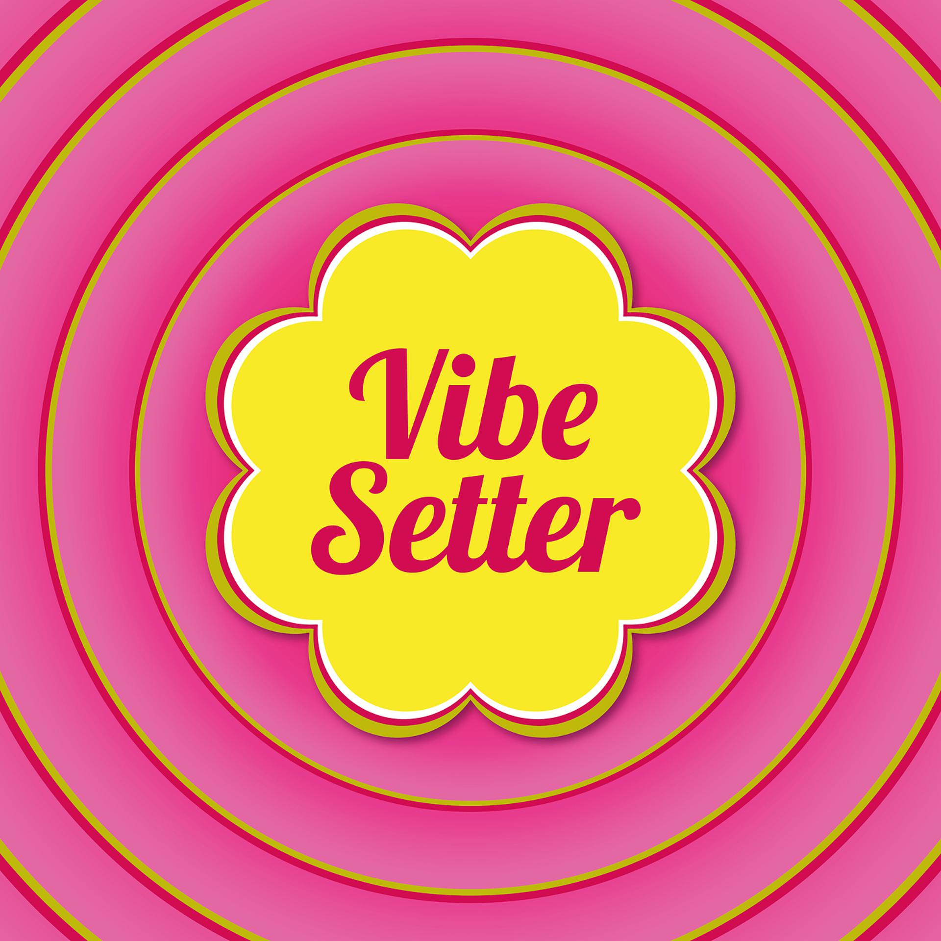 Постер альбома Vibe Setter