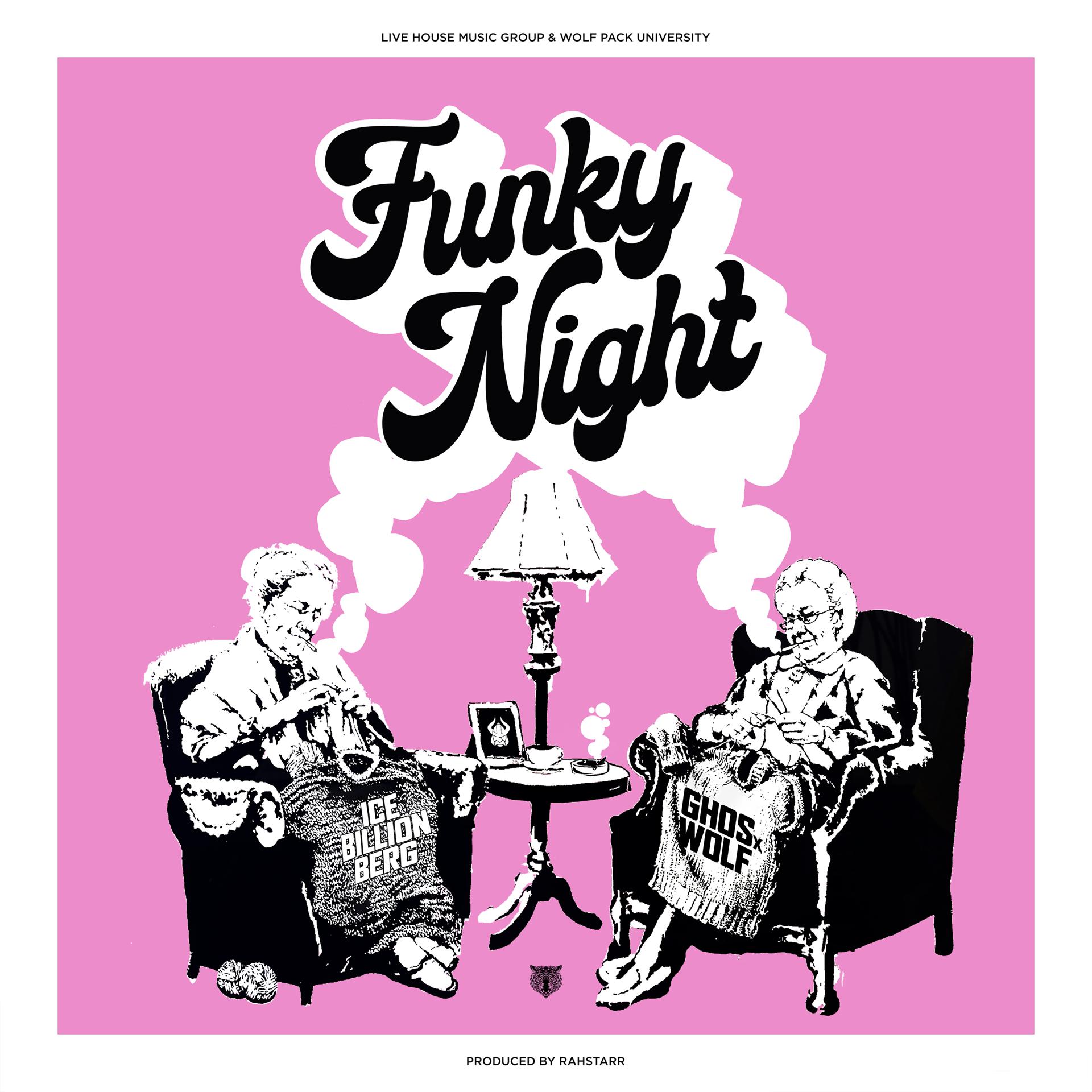 Постер альбома Funky Night
