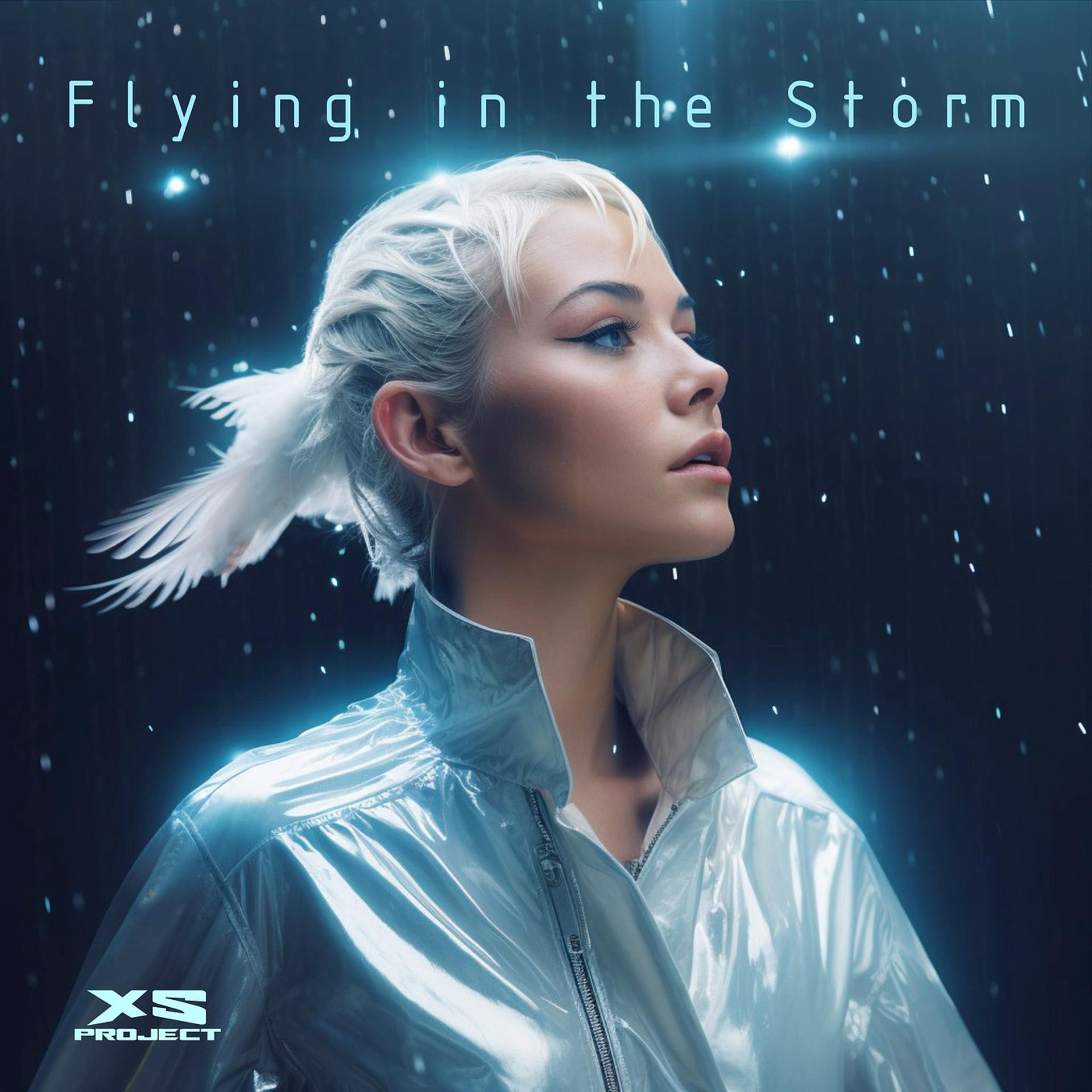 Постер альбома Flying in the Storm