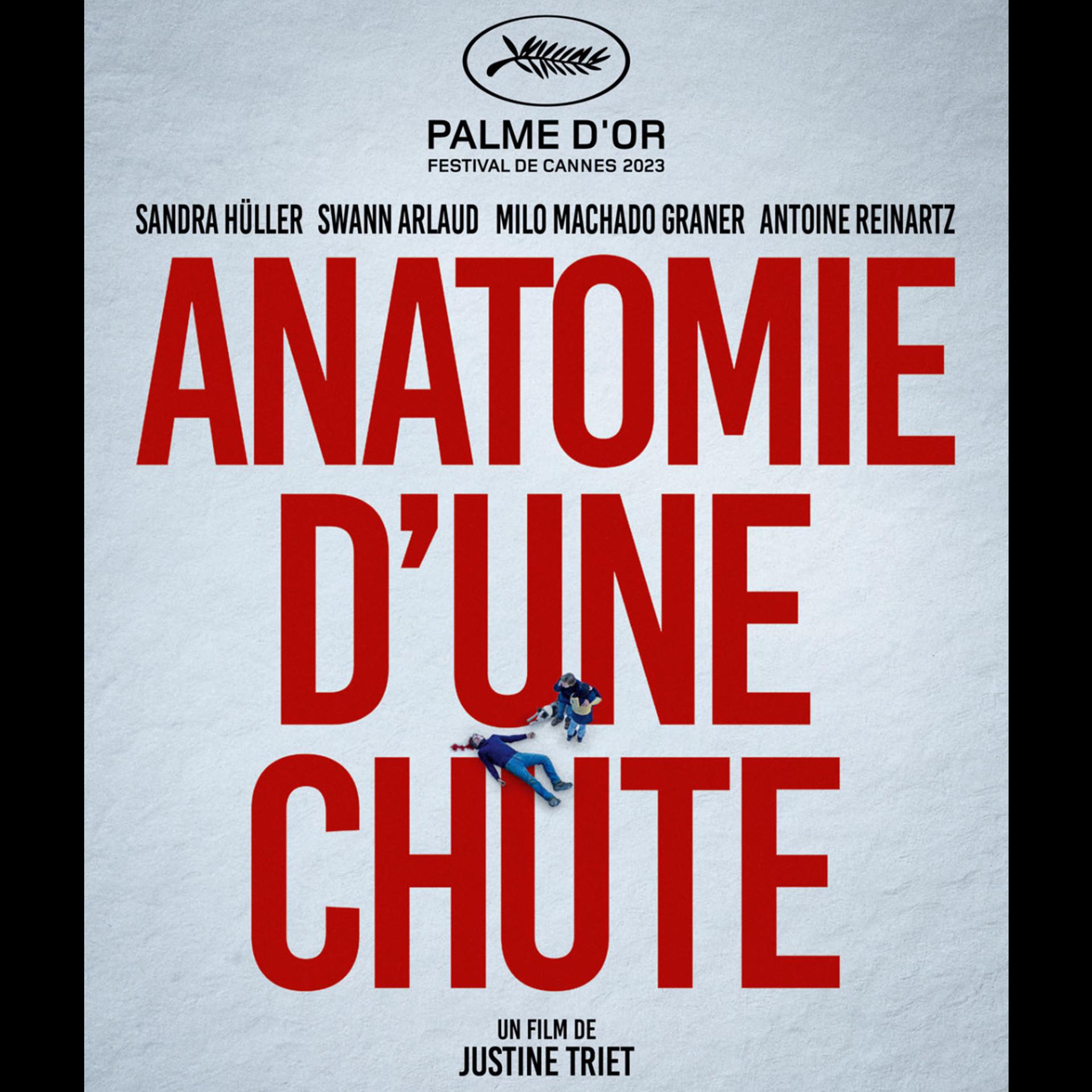 Постер альбома ANATOMIE D'UNE CHUTE