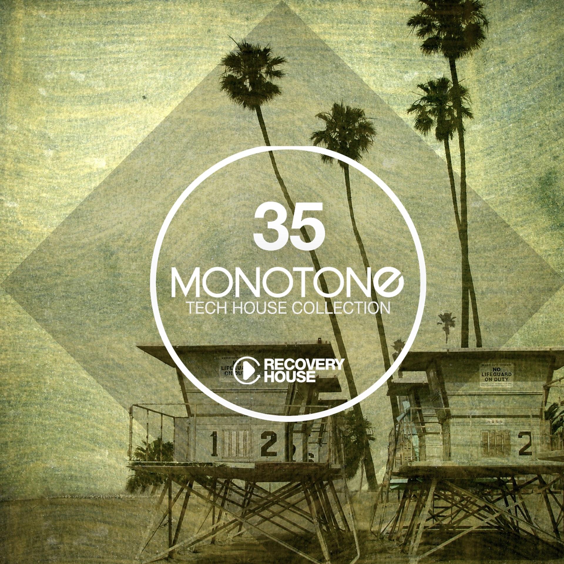 Постер альбома Monotone, Vol. 35 - Tech House Selection