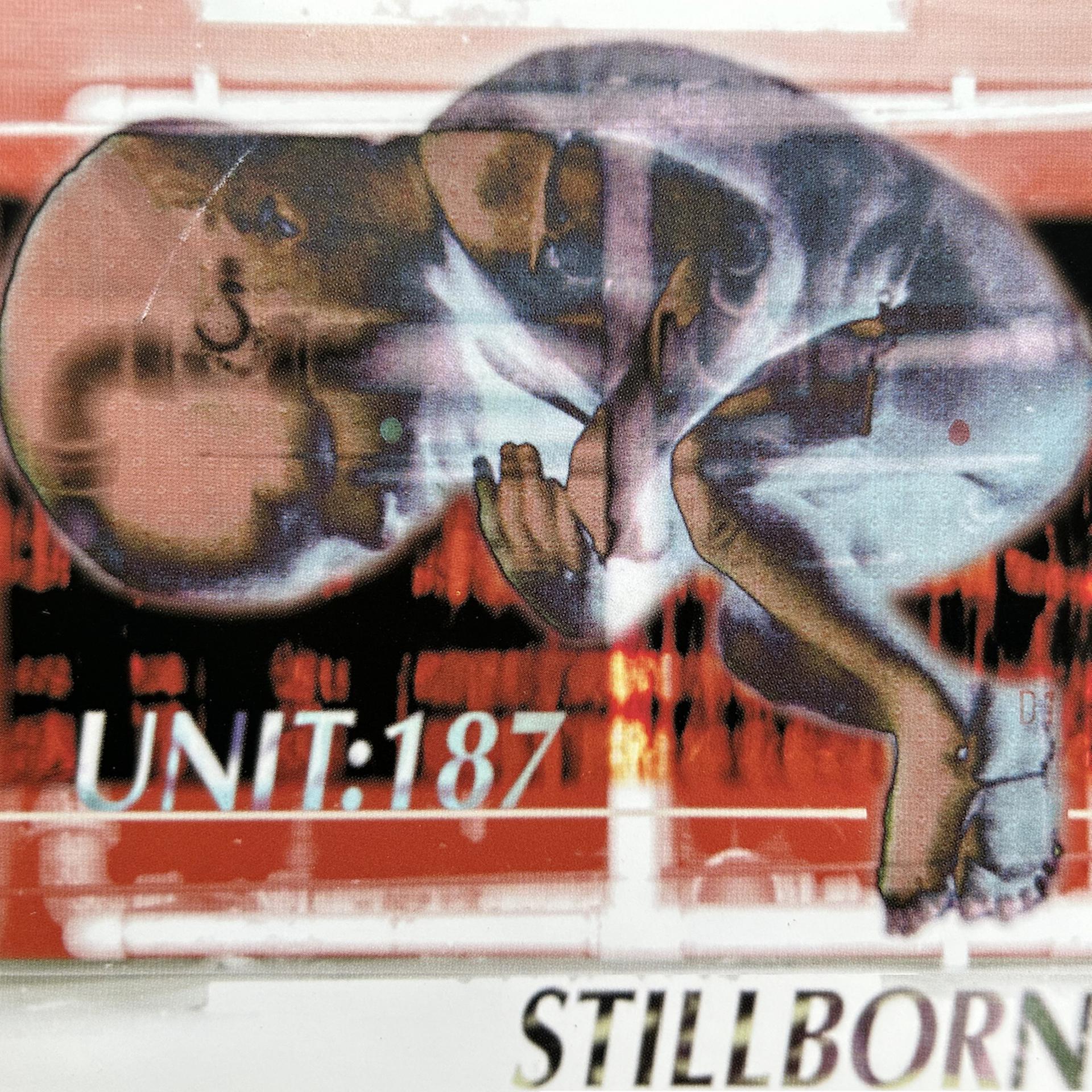 Постер альбома Stillborn