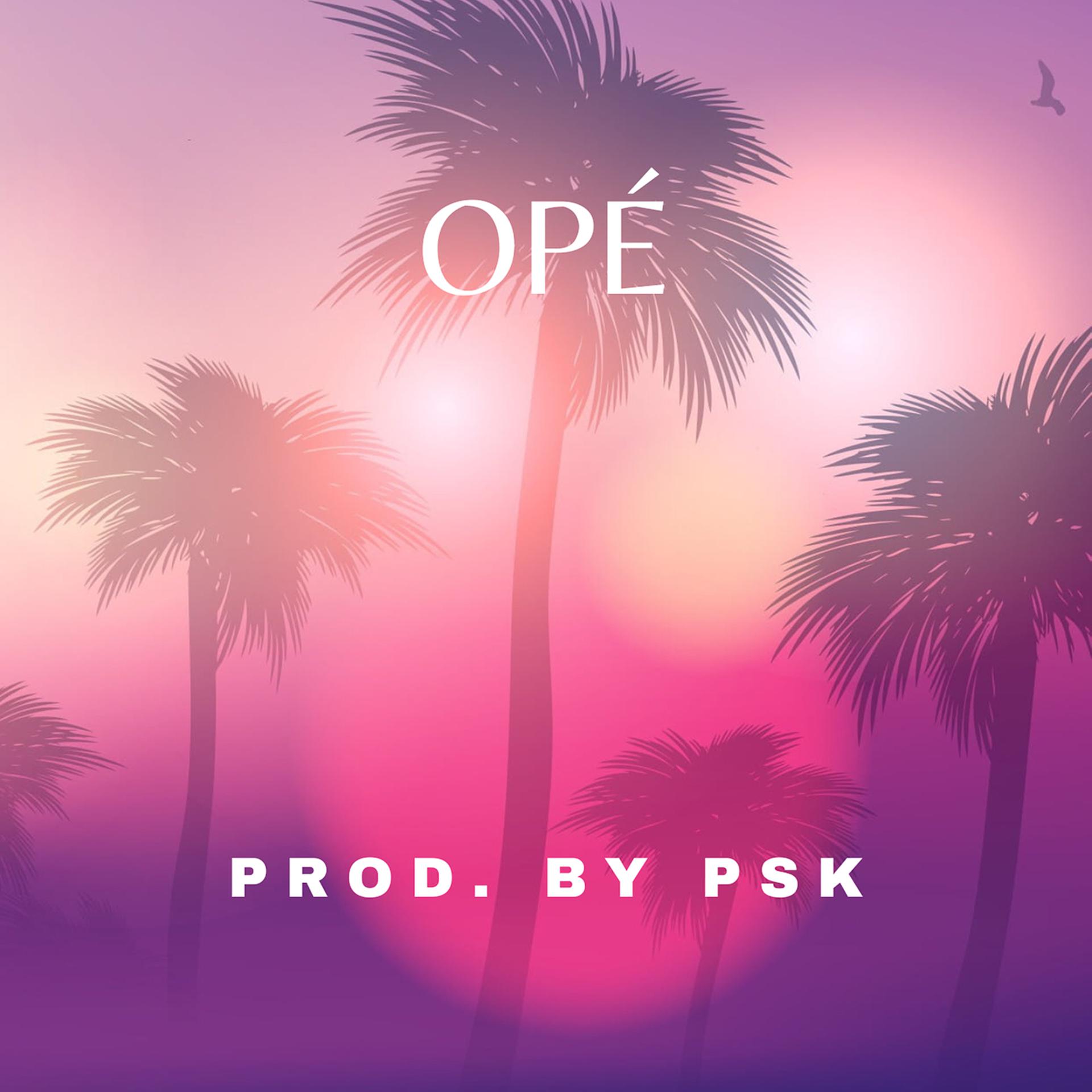 Постер альбома Opé ( Instru Rap )