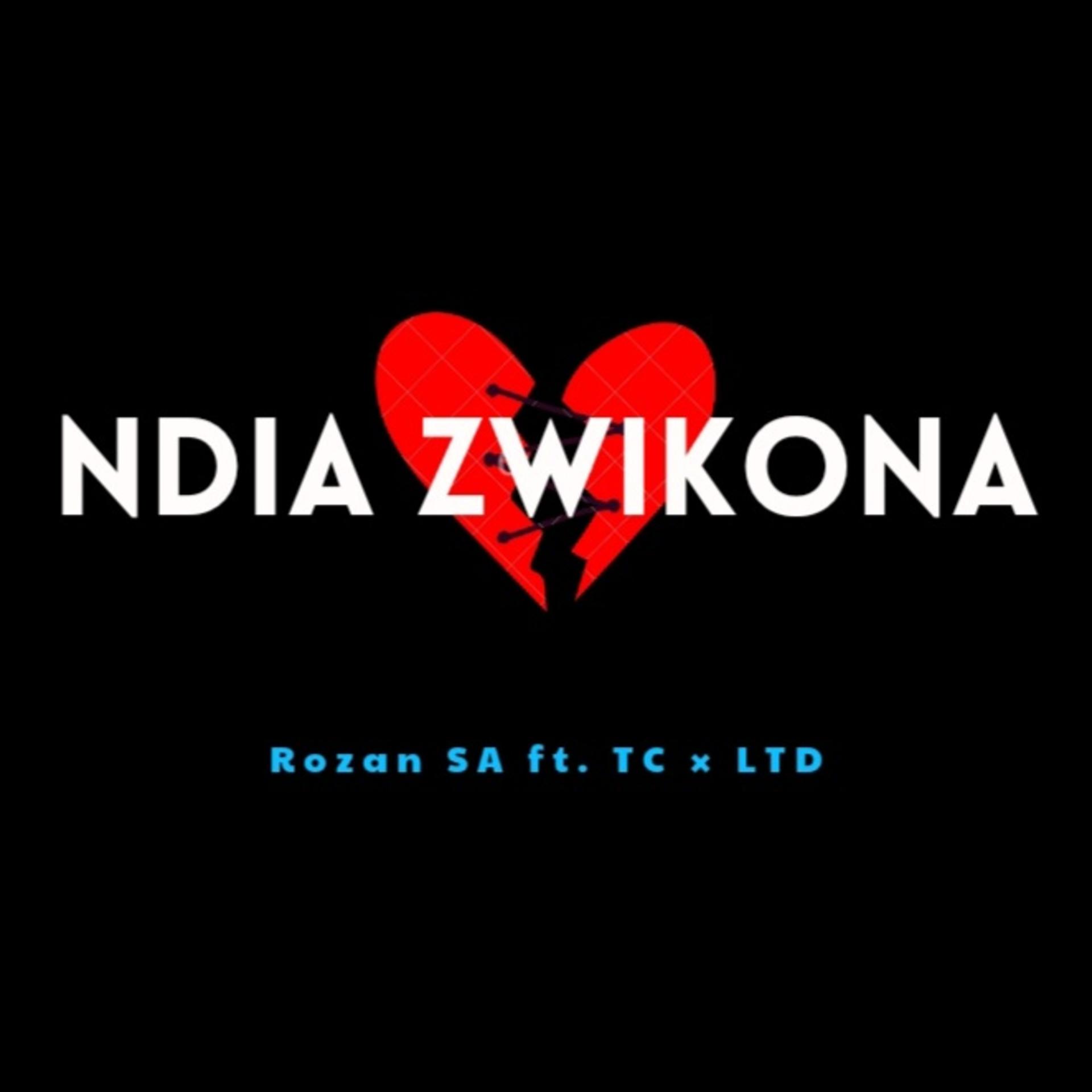Постер альбома Ndia Zwikona
