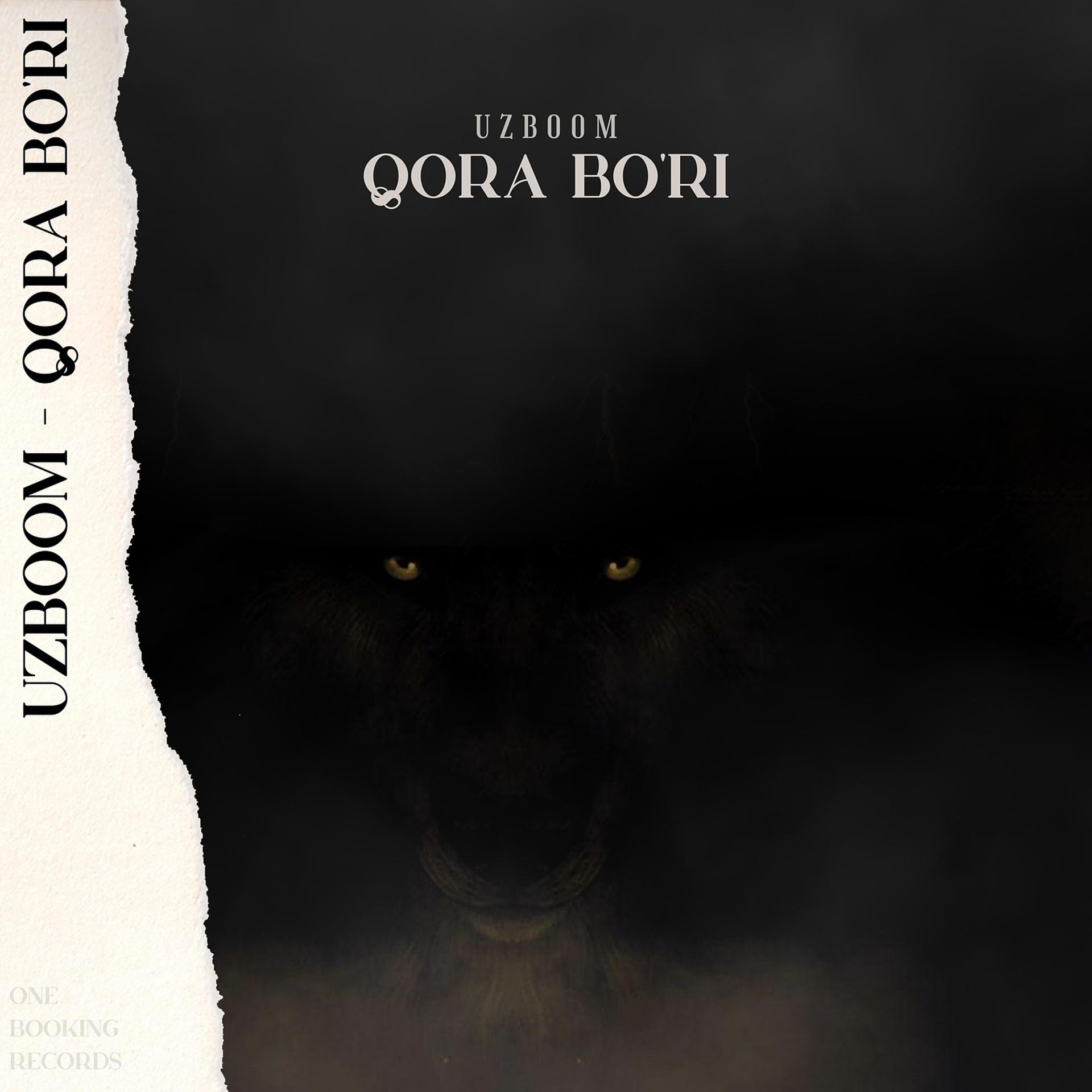 Постер альбома Qora Bo'ri