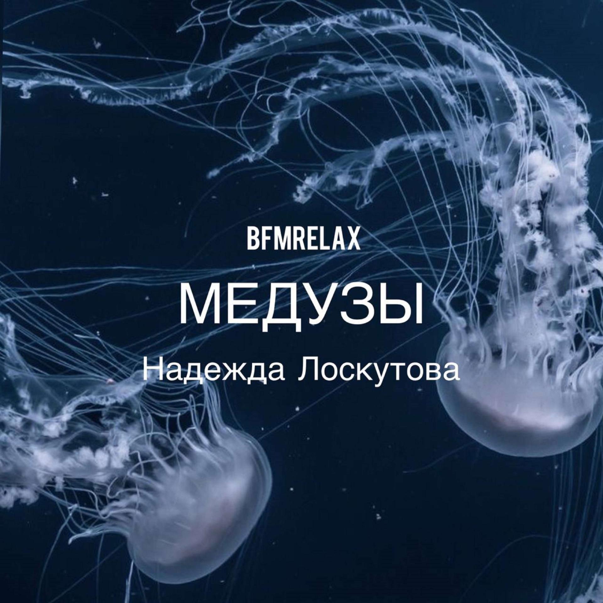 Постер альбома Медузы ( BFMrelax, Надежда Лоскутова, ambient, chillout, классика, )