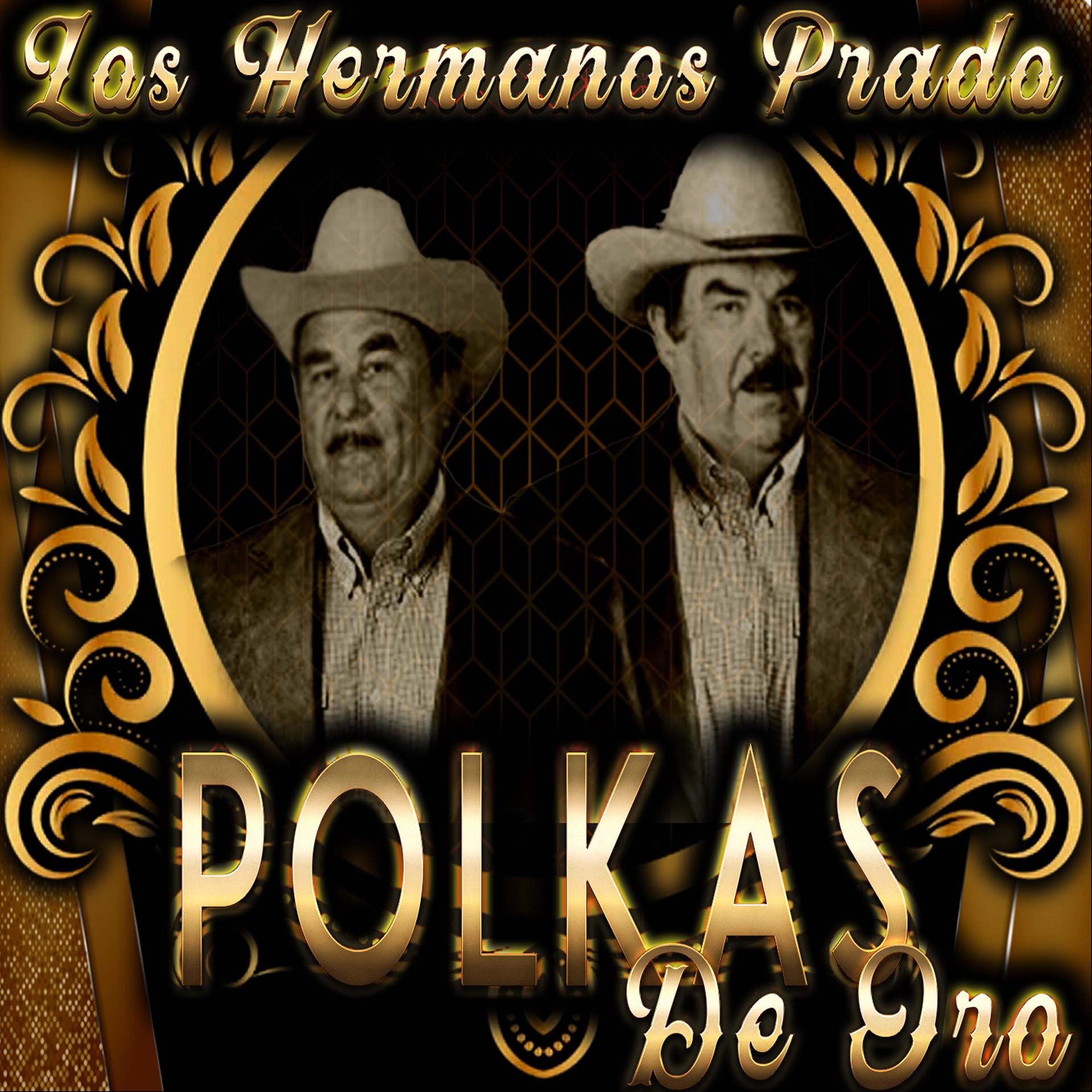 Постер альбома Polkas de Oro