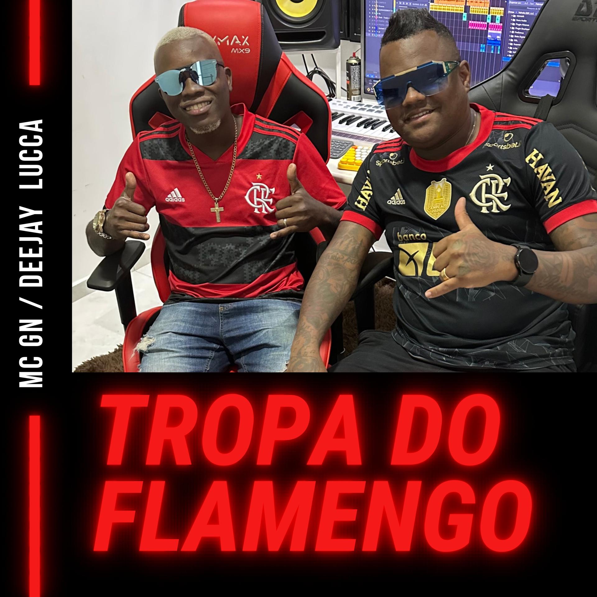 Постер альбома Tropa do Flamengo