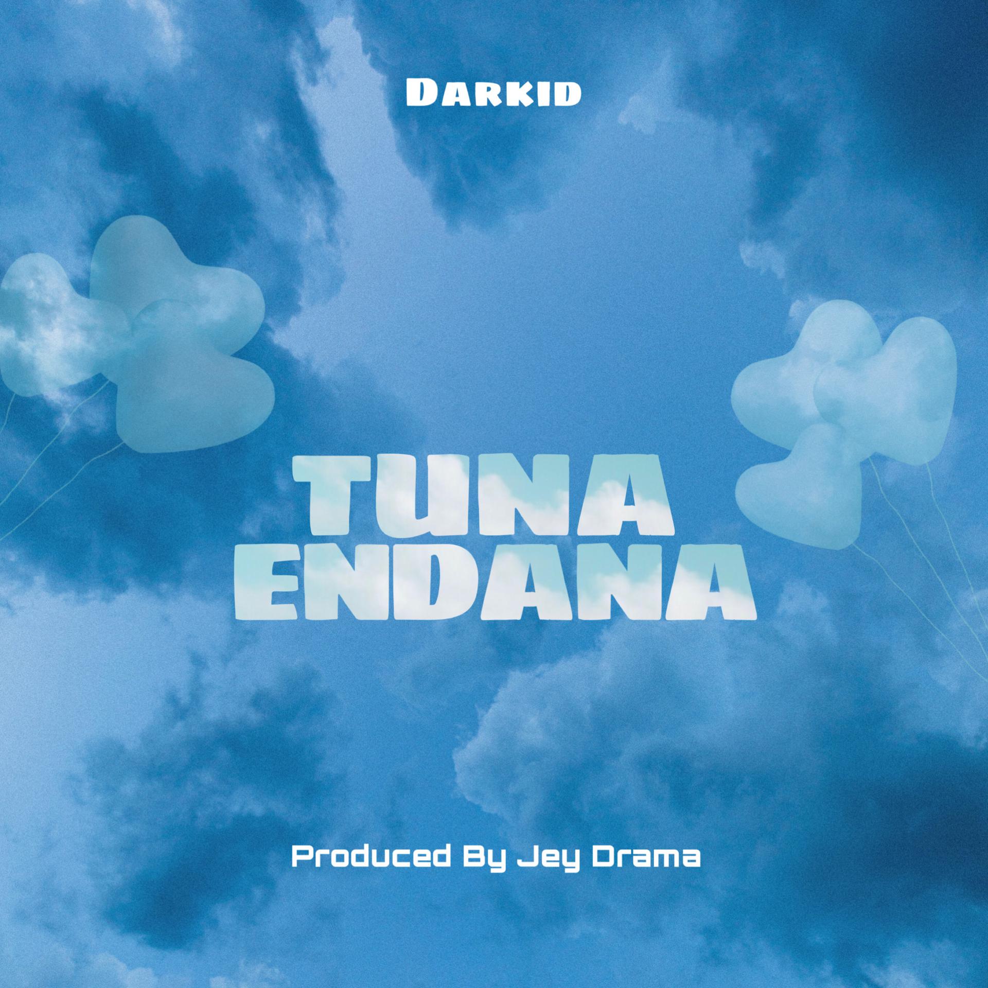 Постер альбома Tunaendana