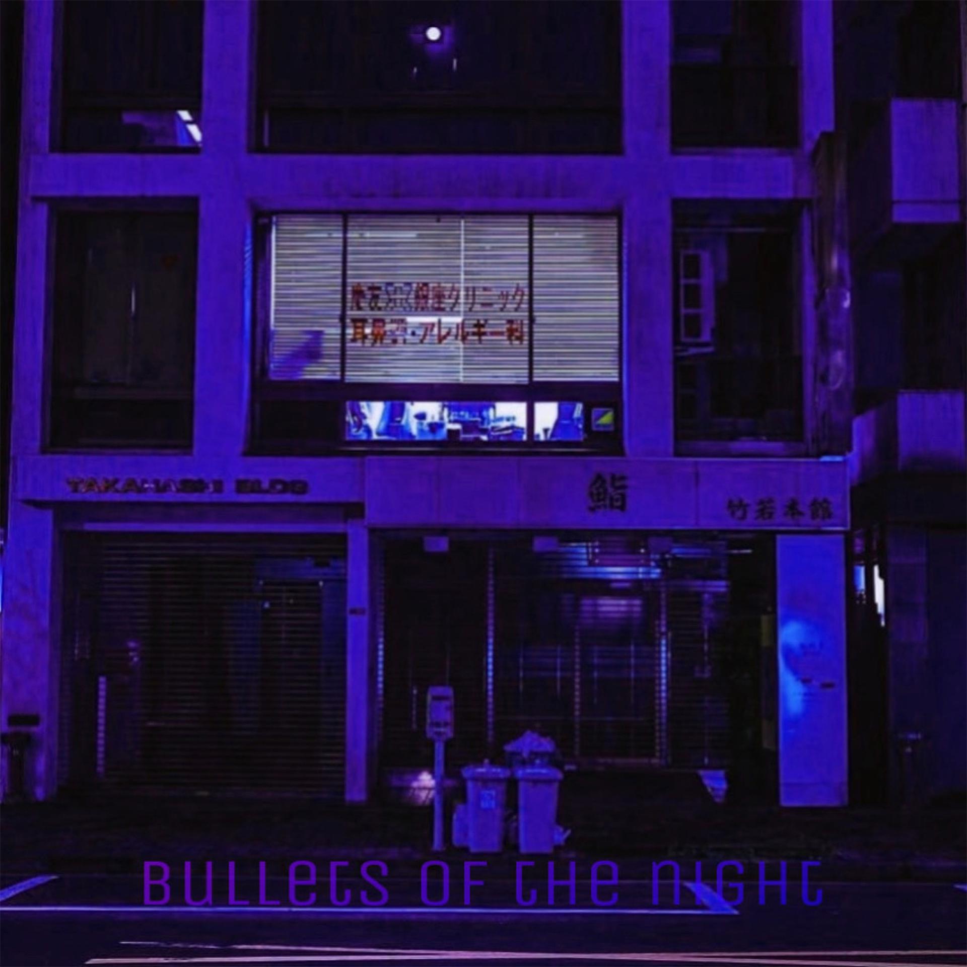 Постер альбома Bullets of the night