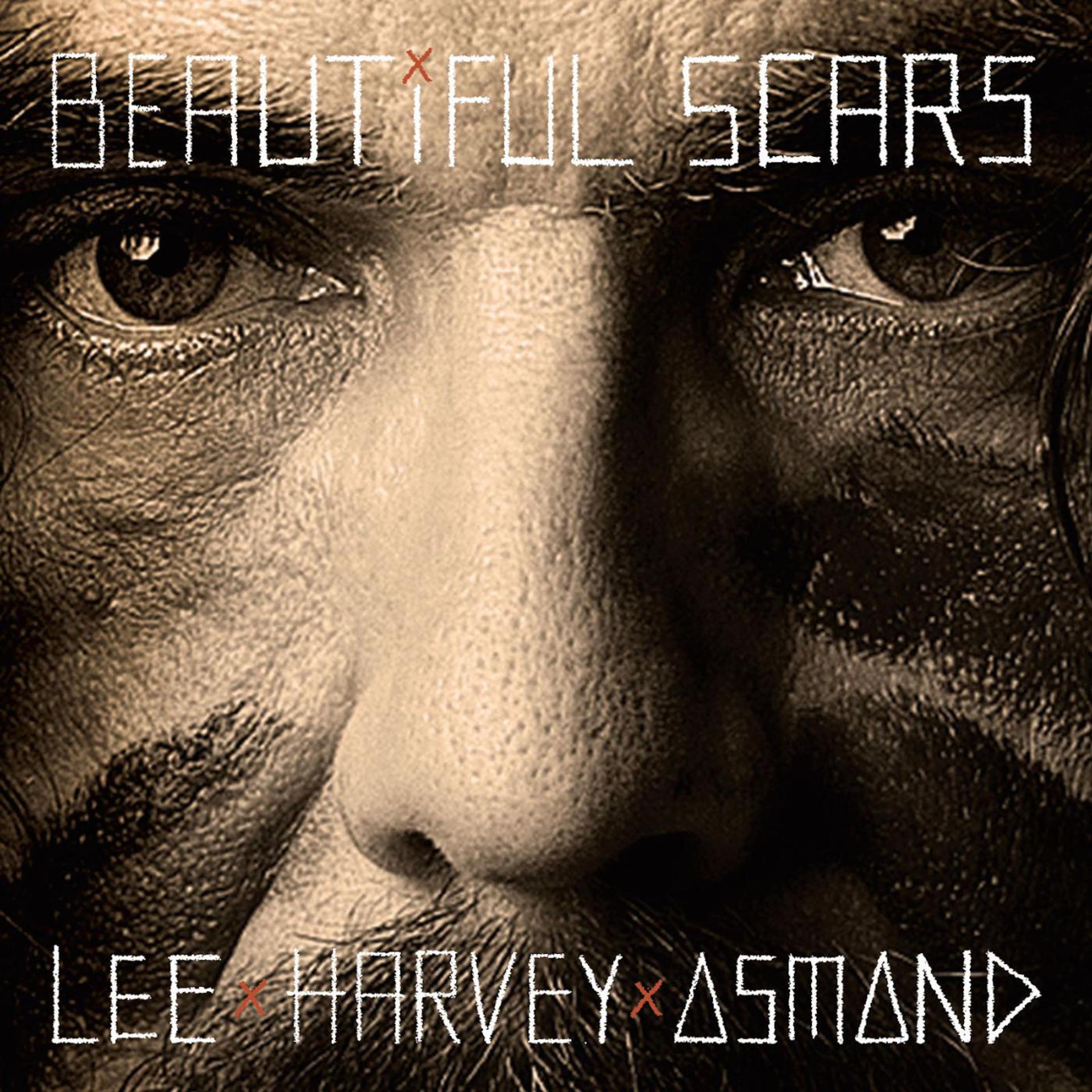 Постер альбома Beautiful Scars