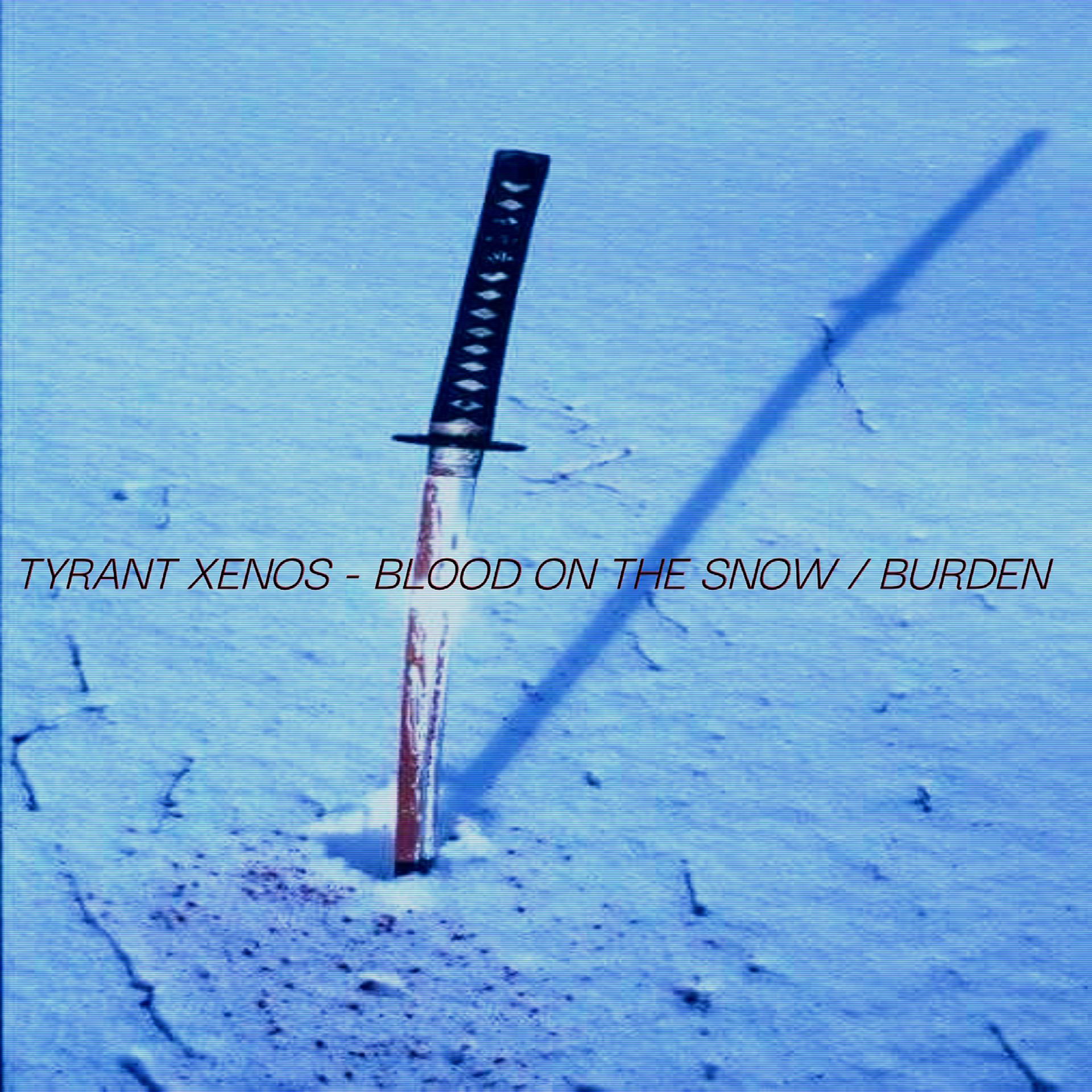 Постер альбома Blood on the Snow / Burden
