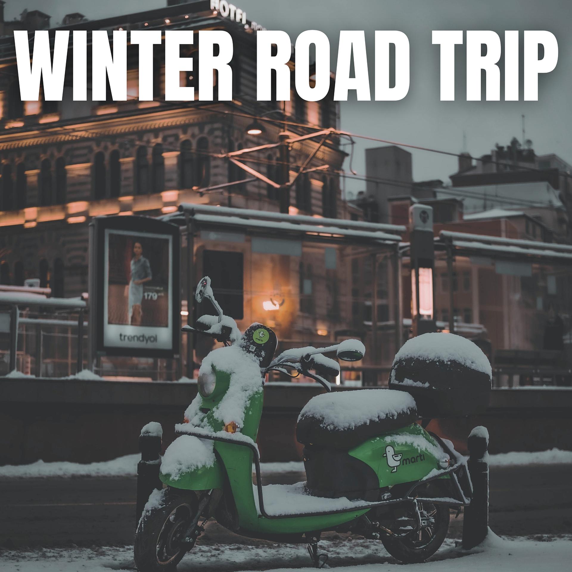Постер альбома Winter Road Trip