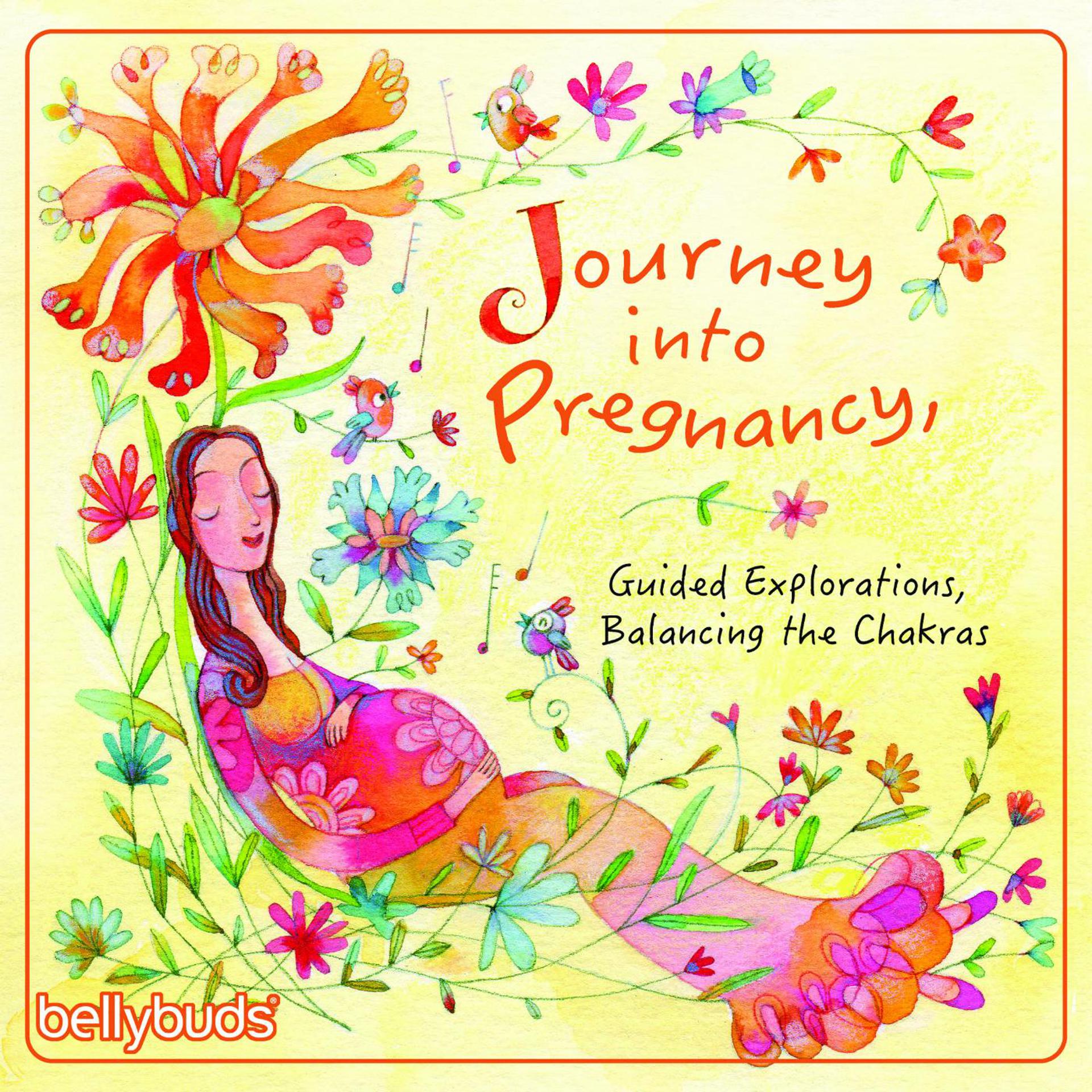 Постер альбома Journey into Pregnancy, Guided Explorations, Balancing the Chakras