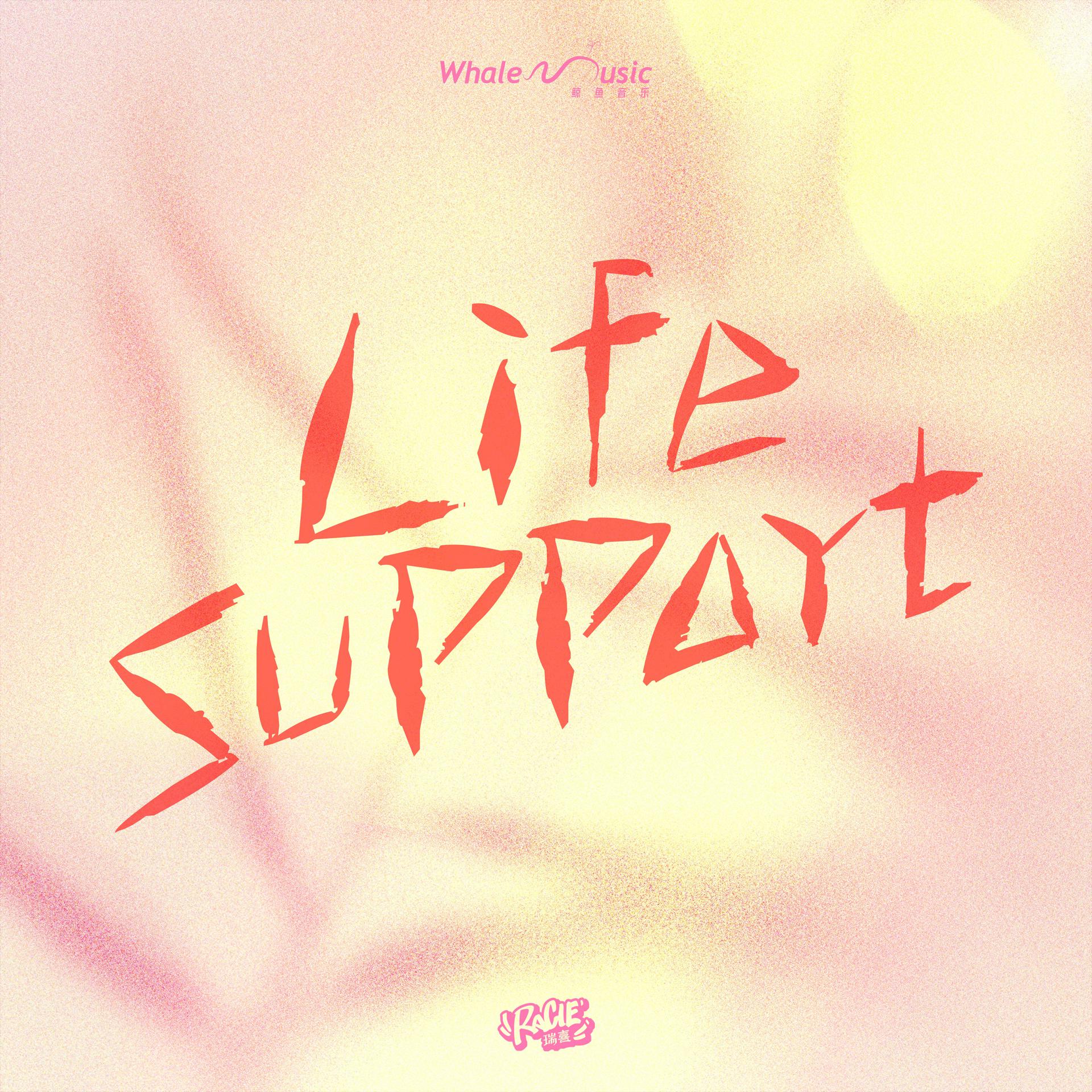 Постер альбома Life Support