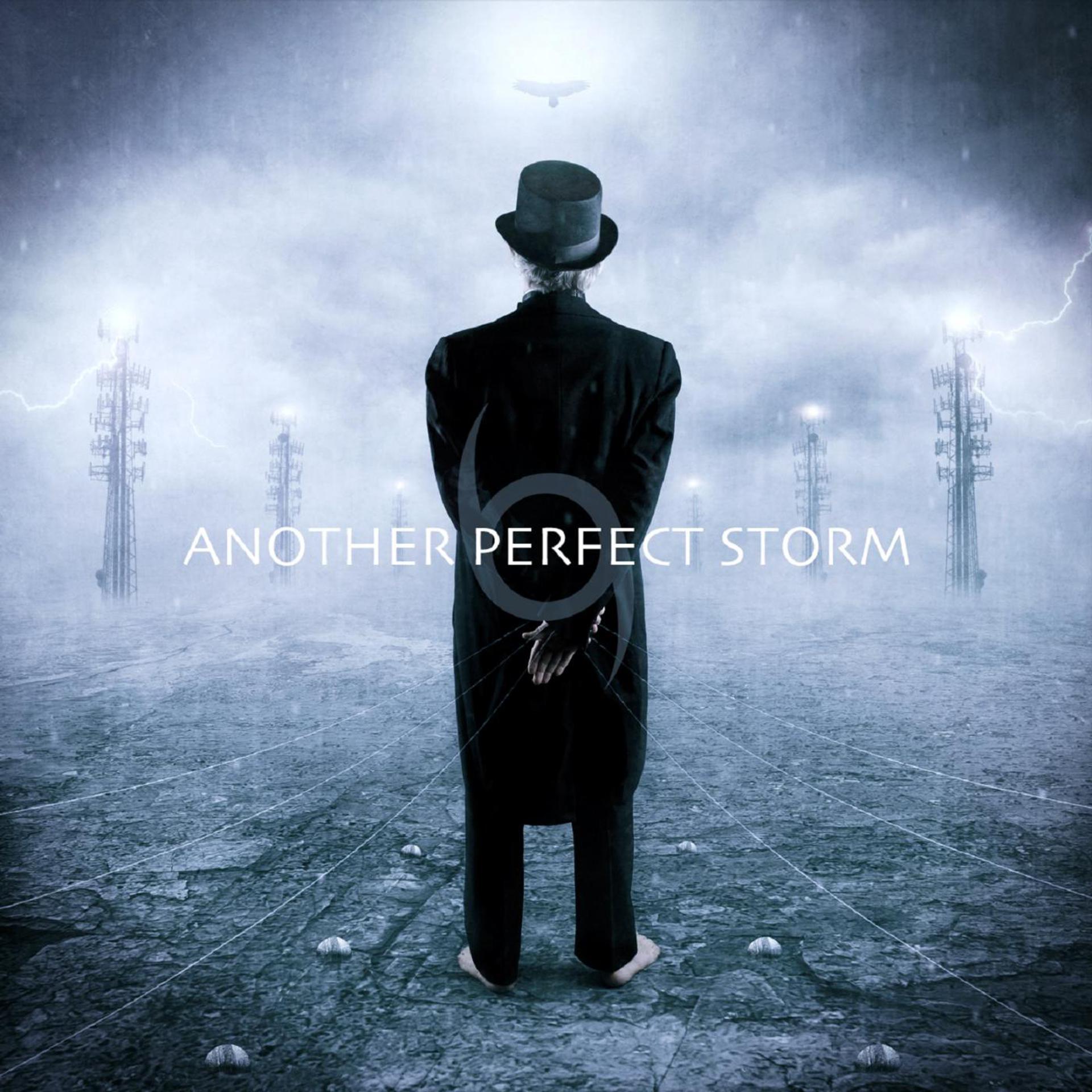 Постер альбома Another Perfect Storm