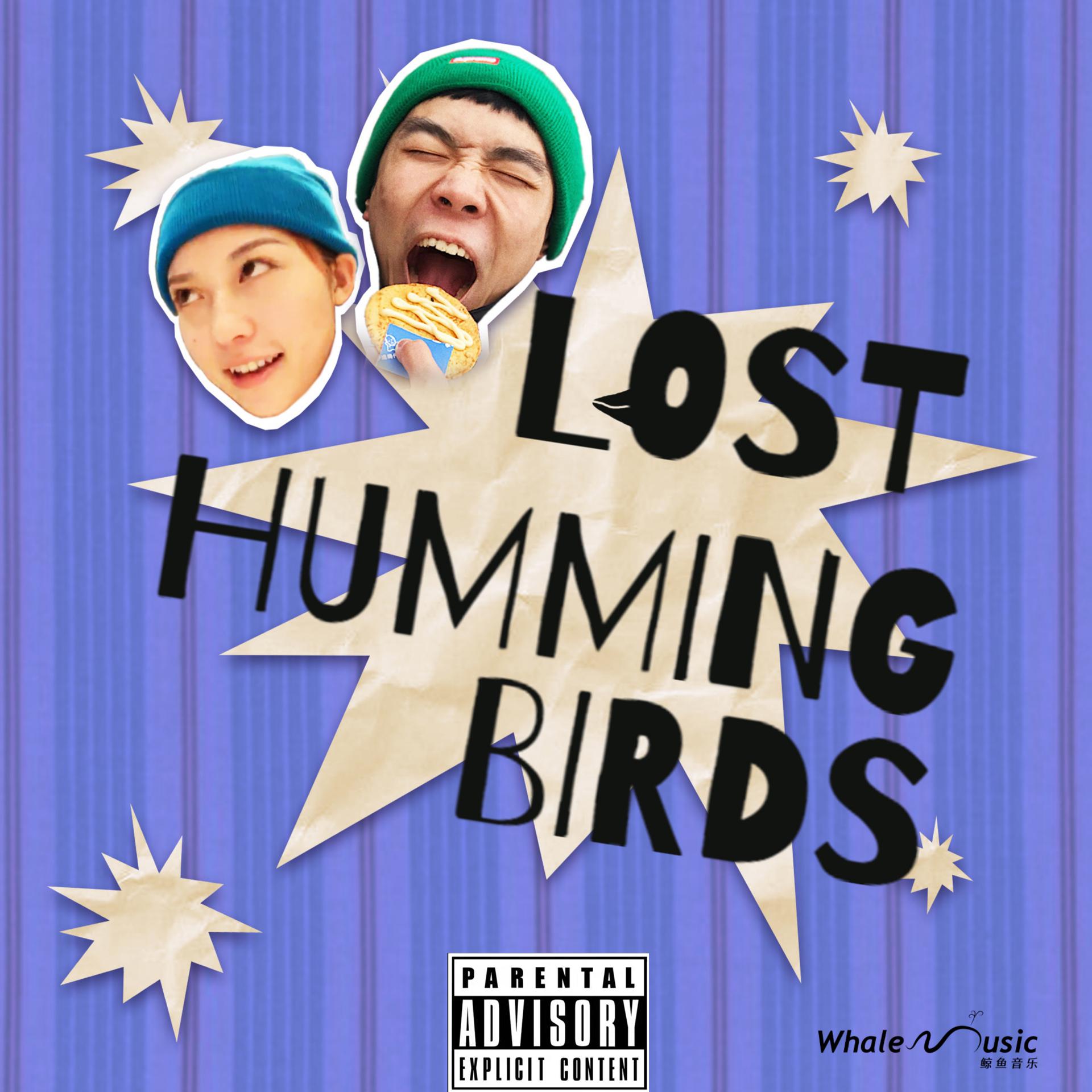 Постер альбома Lost Hummingbird